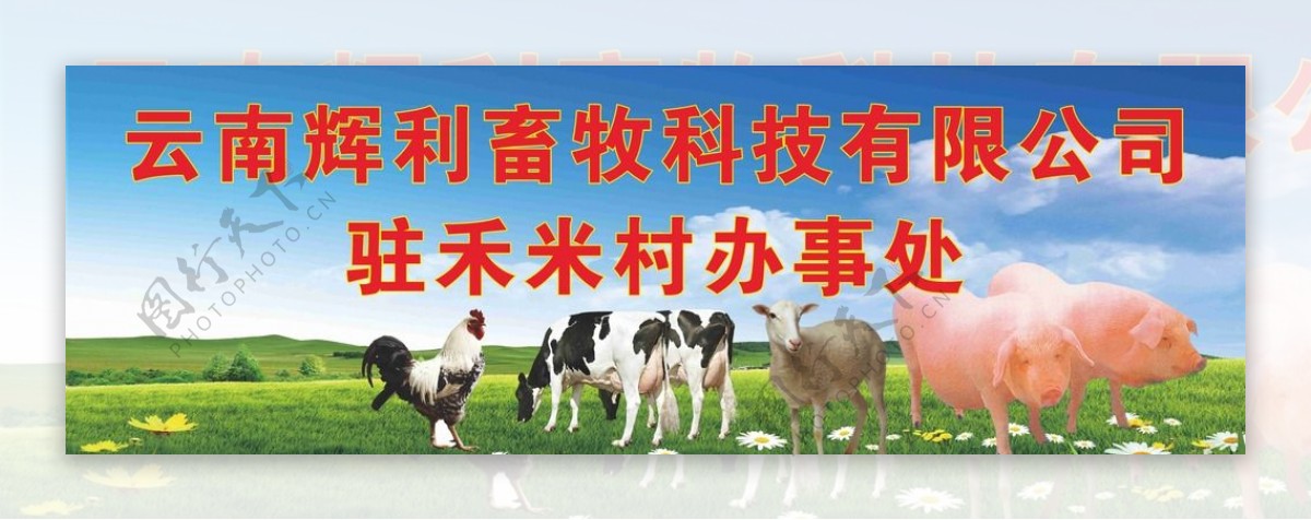 畜牧农业海报