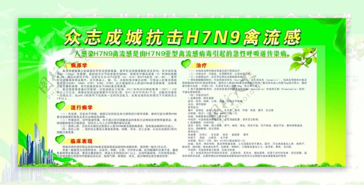 健康教育专栏H7N9