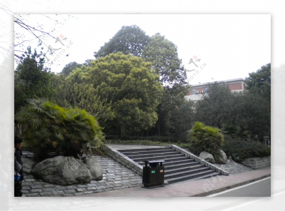 自然景观台阶