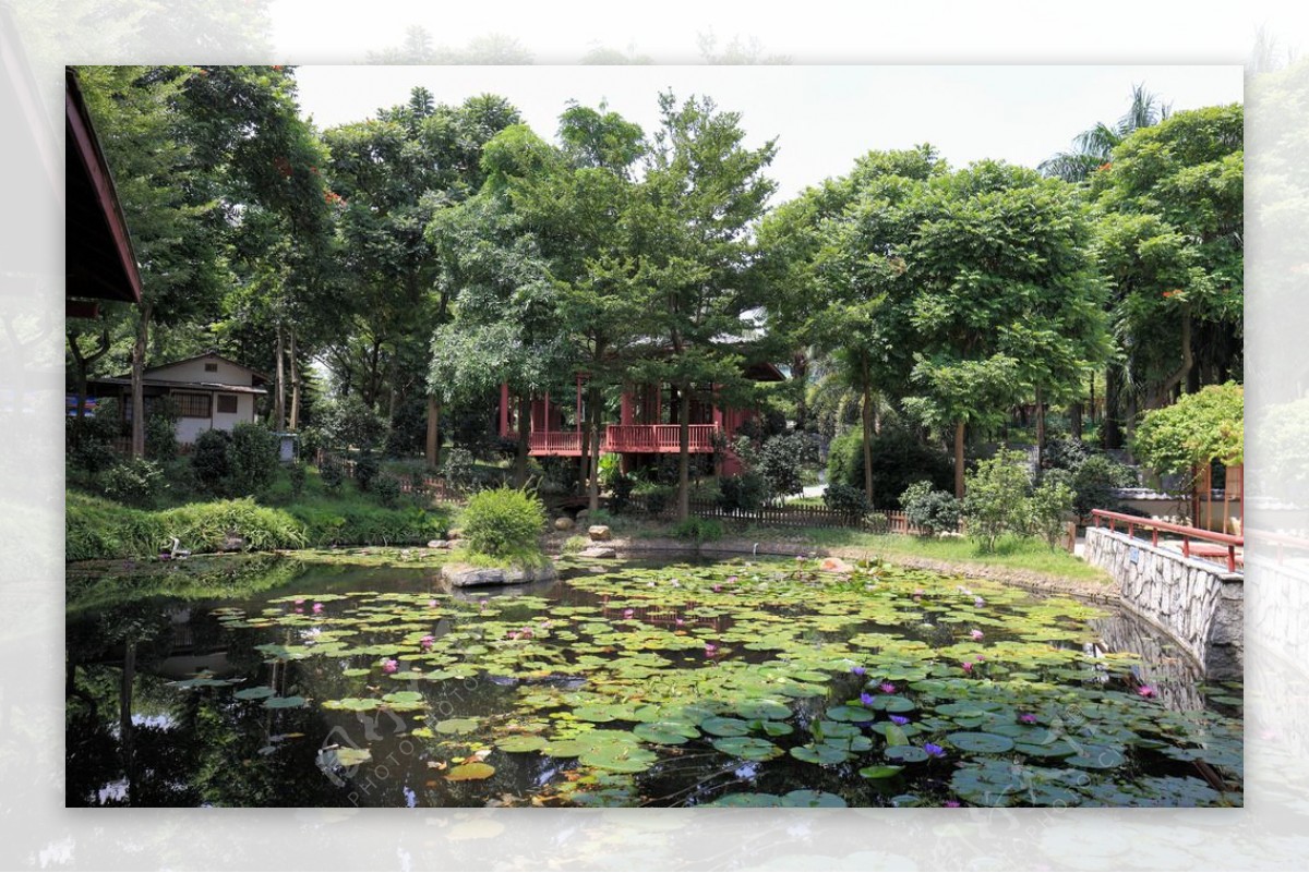 深圳国际园林花卉博览园