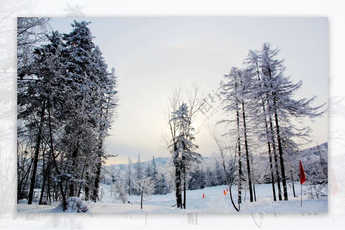 雪景