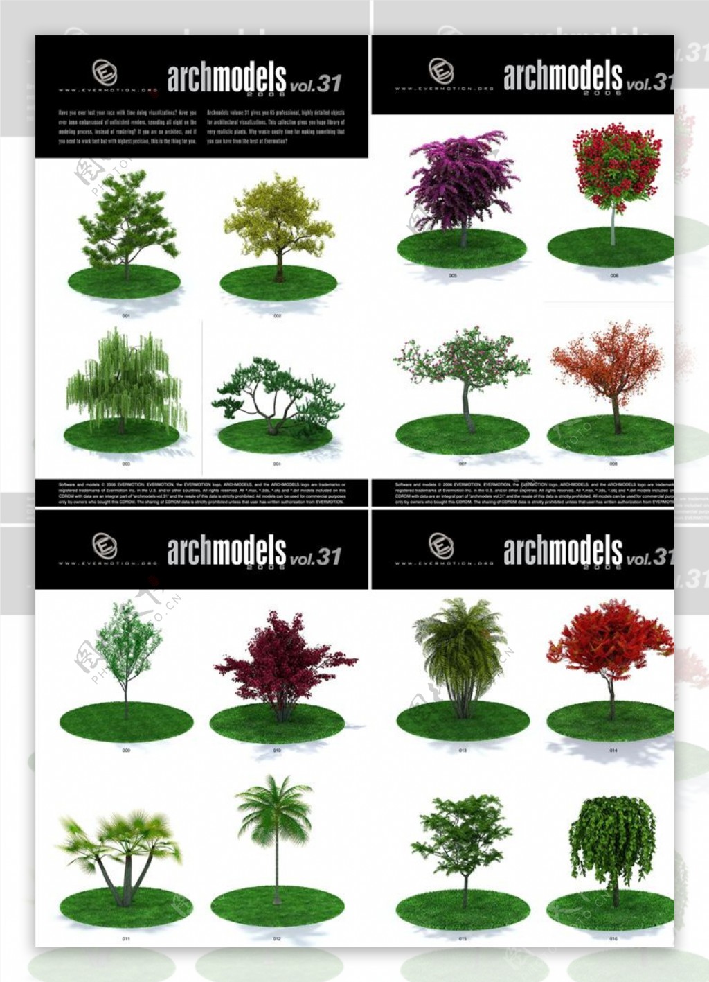 园林植物模型