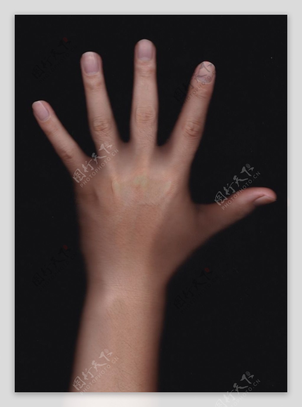 300,000+张最精彩的“手背”图片 · 100%免费下载 · Pexels素材图片