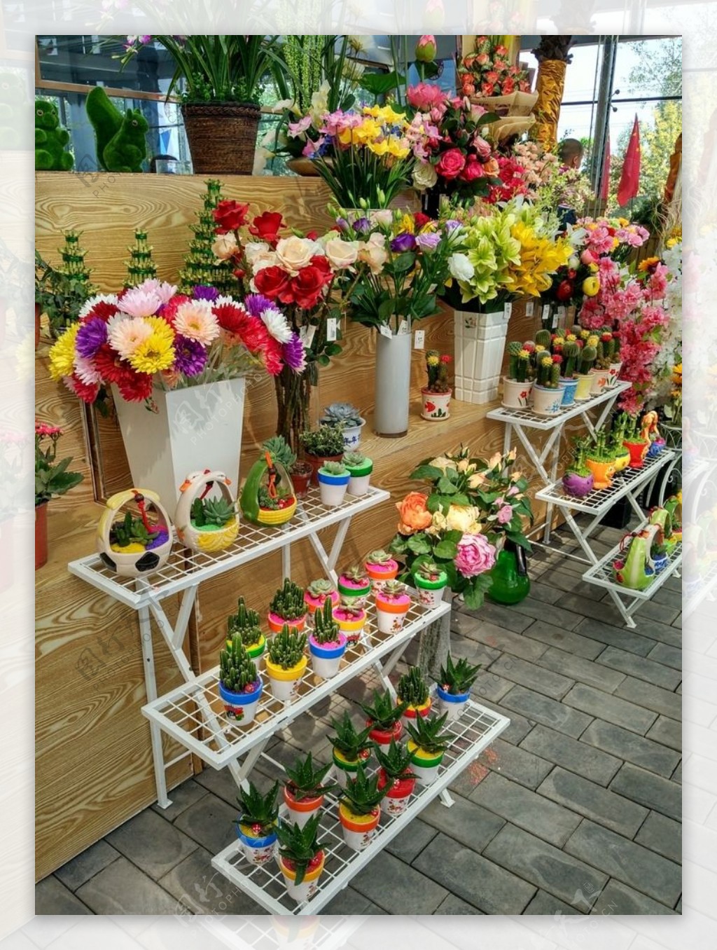 花卉市场图片浏览-花卉市场图片下载 - 酷吧图库