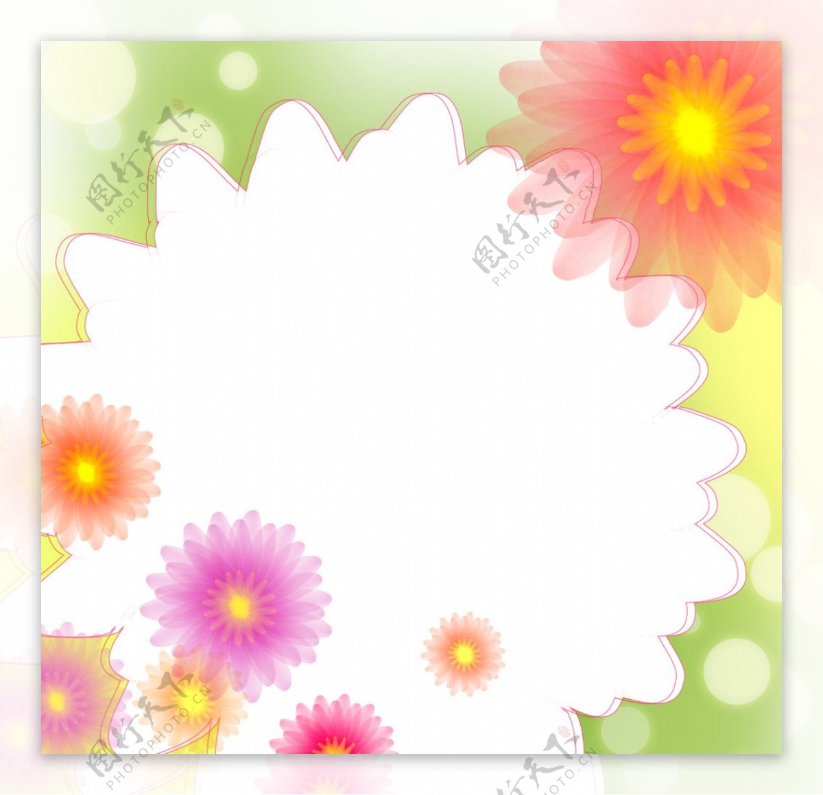 插画花朵白色花朵状文本框