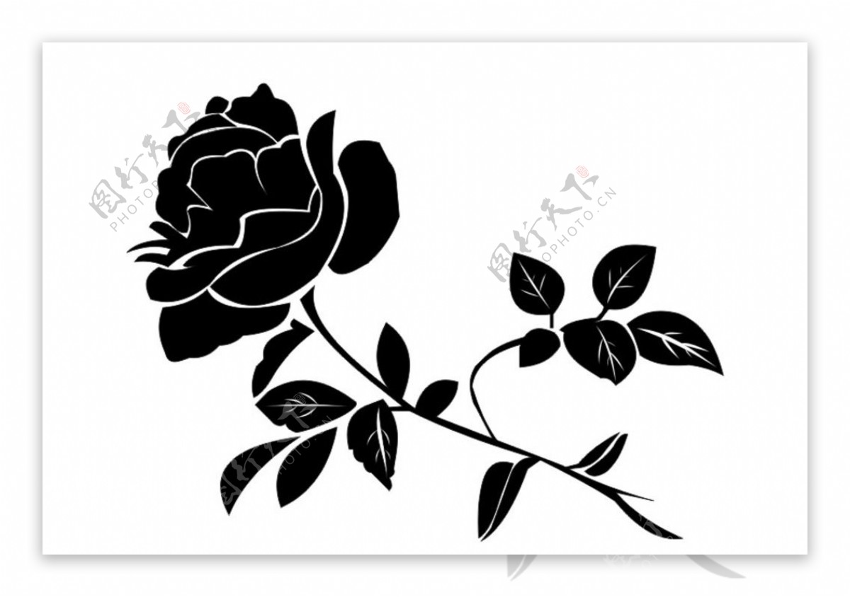 黑色玫瑰|插画|插画习作|婲默 - 原创作品 - 站酷 (ZCOOL)