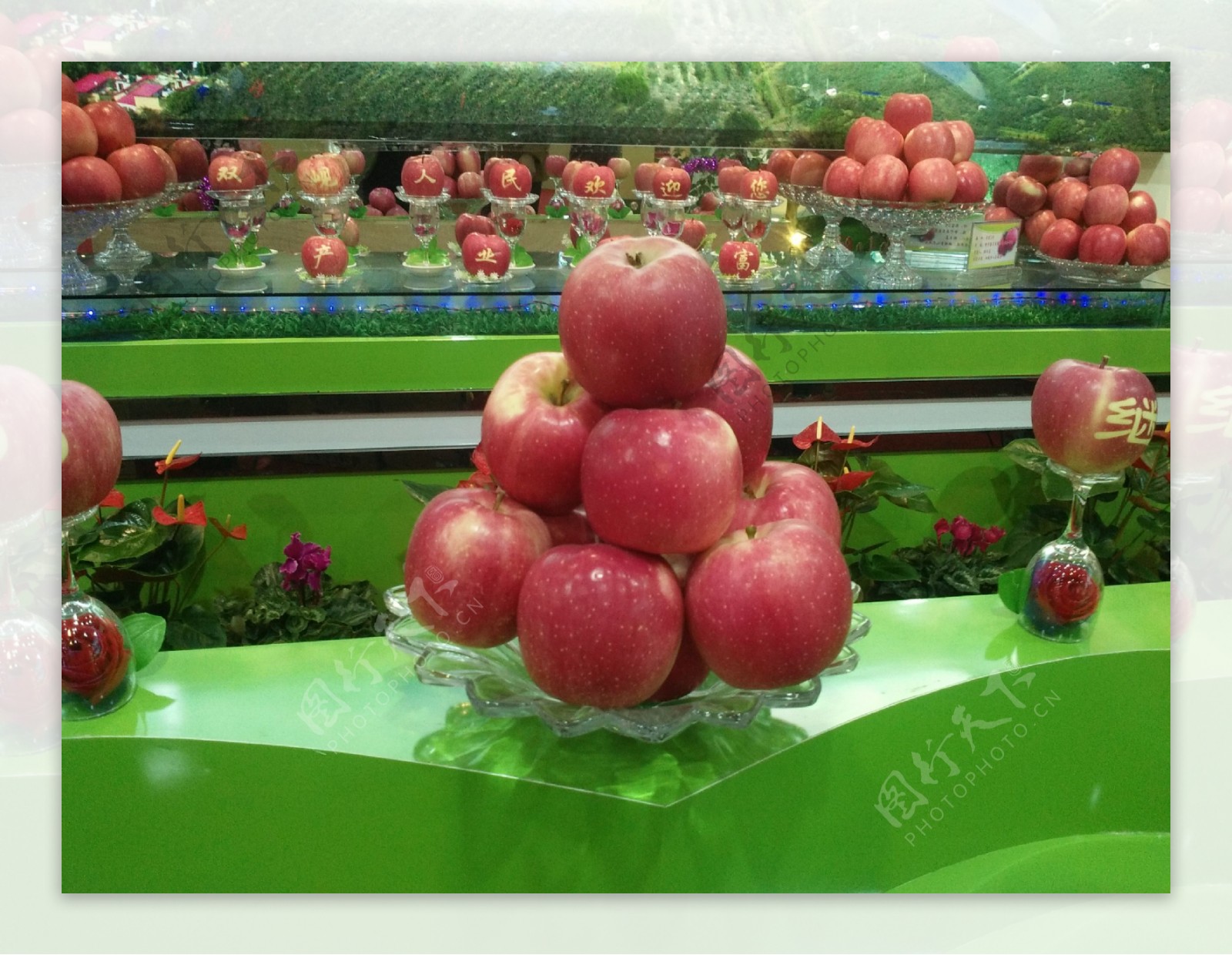 红富士苹果展示