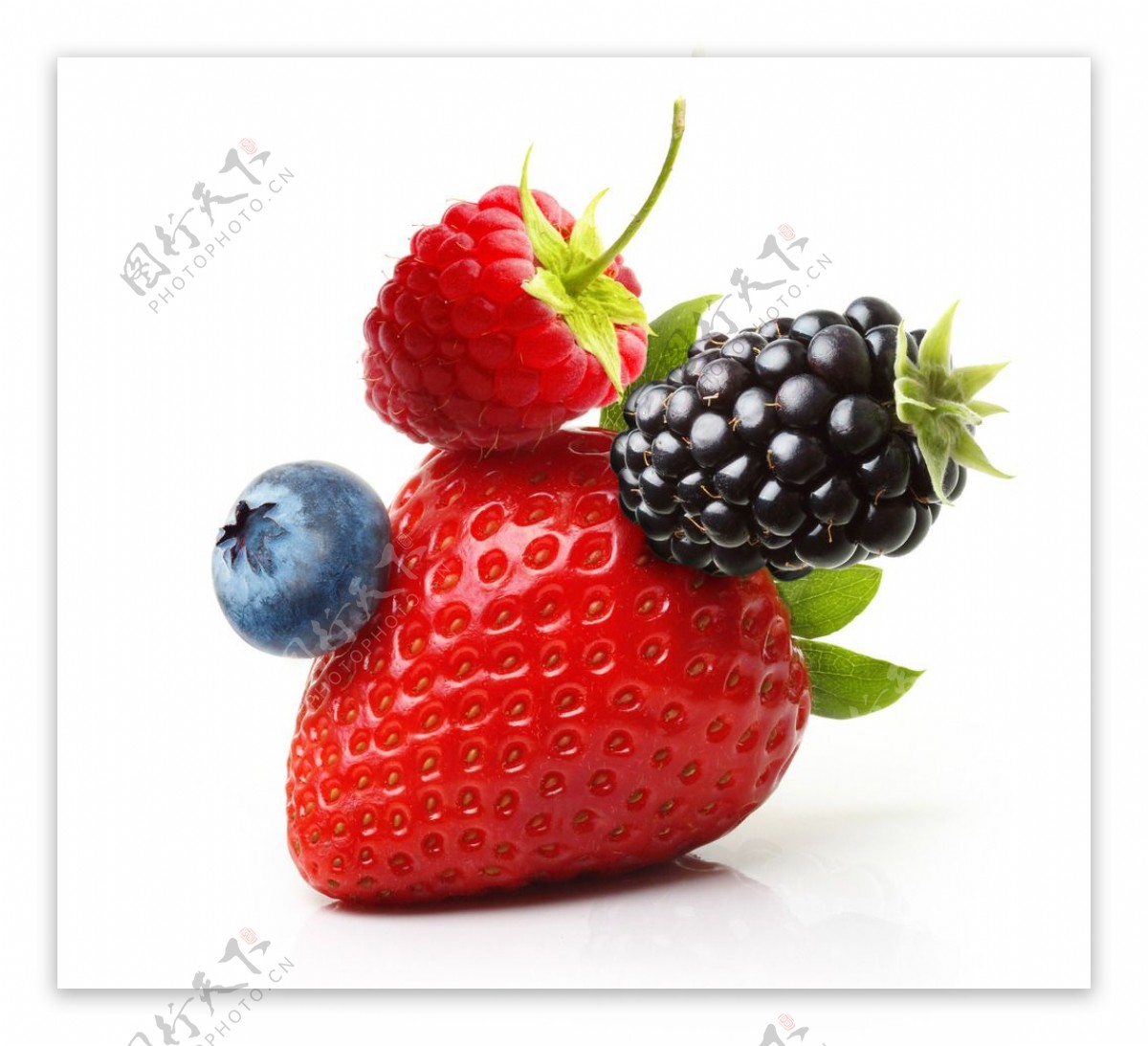蓝莓草莓树莓