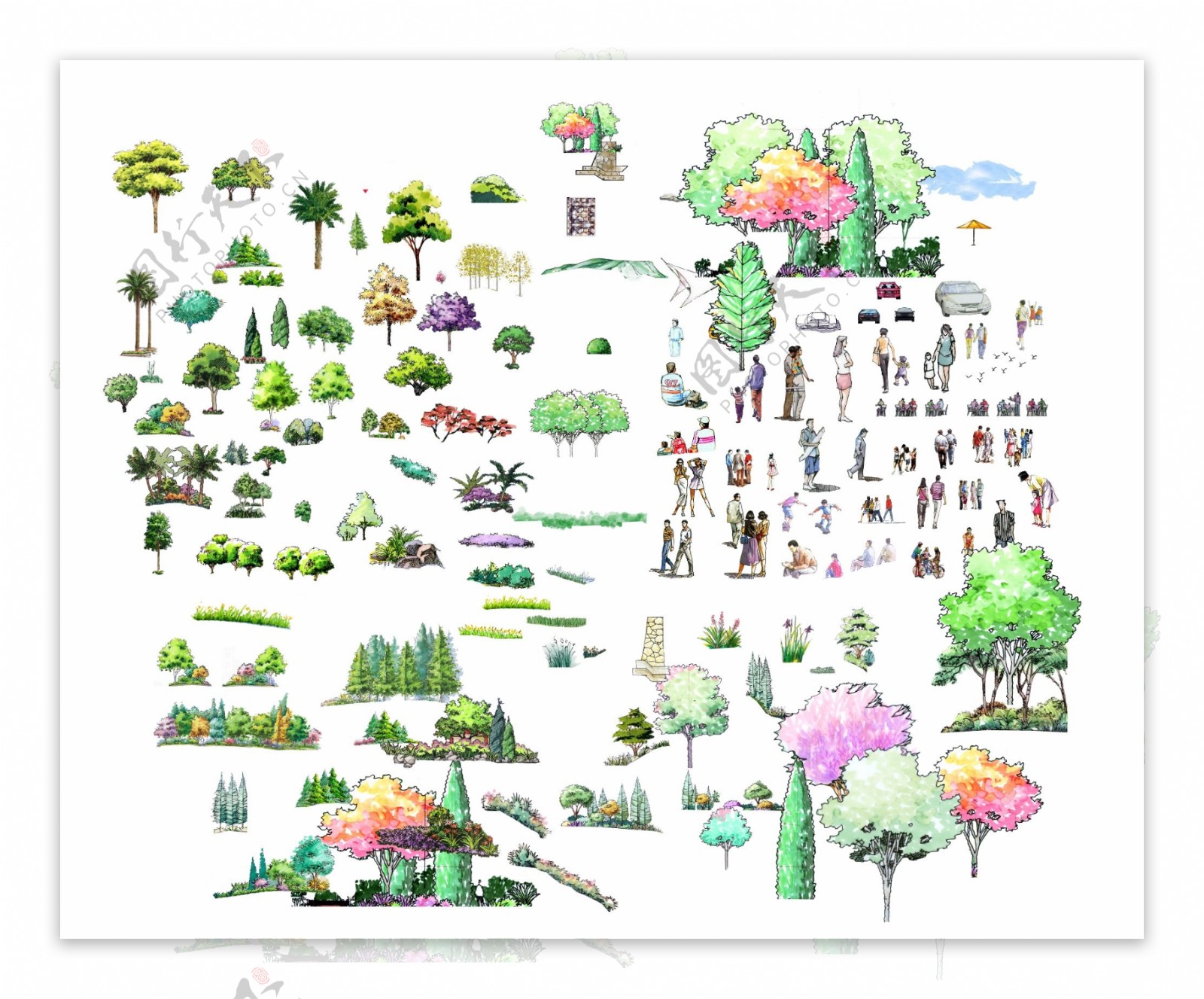 手绘园林景观树木人物立面效果图