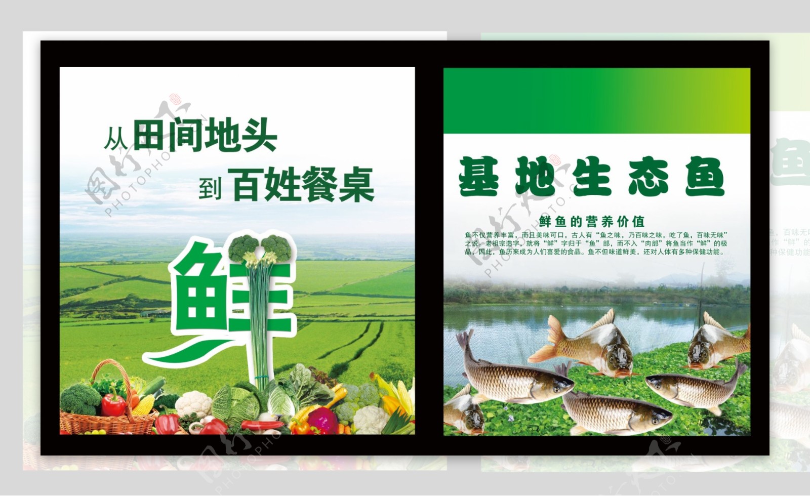 农业基地生态鱼海报