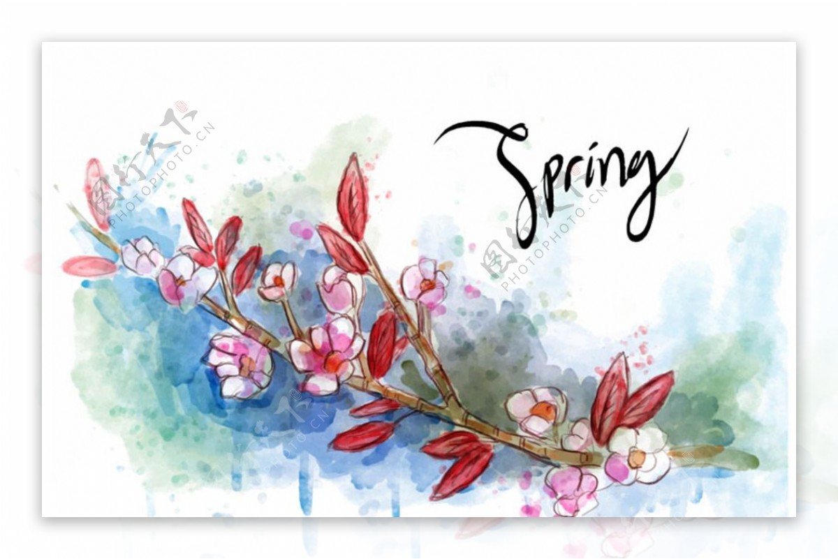 手绘水彩春季花卉花枝背景