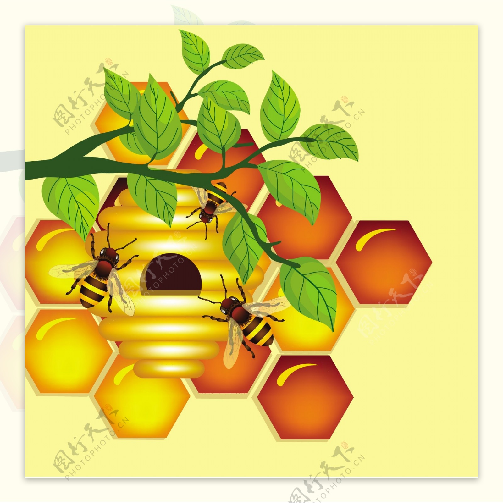 黄色蜂蜜矢量背景