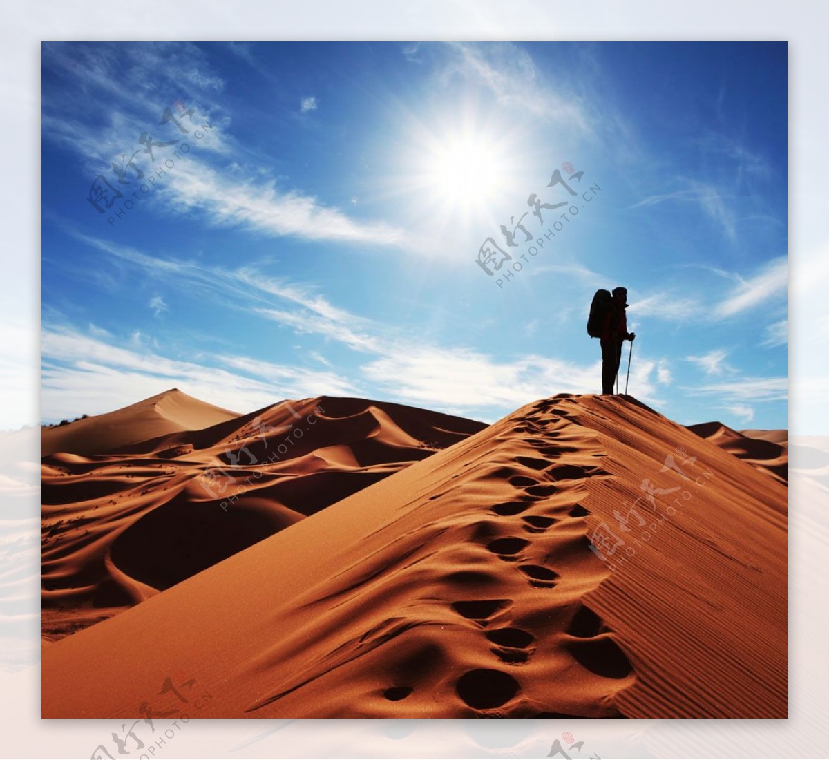 沙漠探索者图片