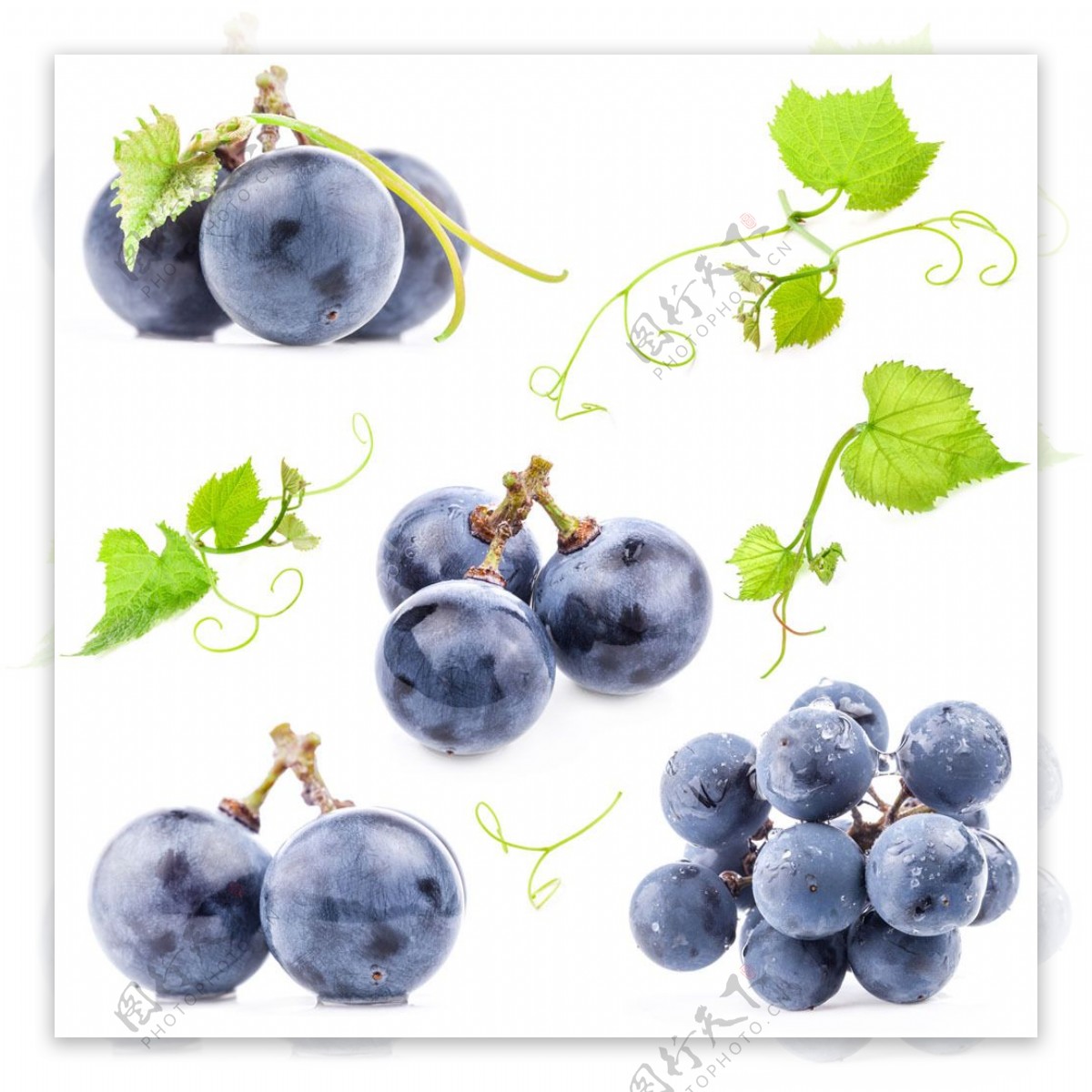 新鲜的蓝莓图片