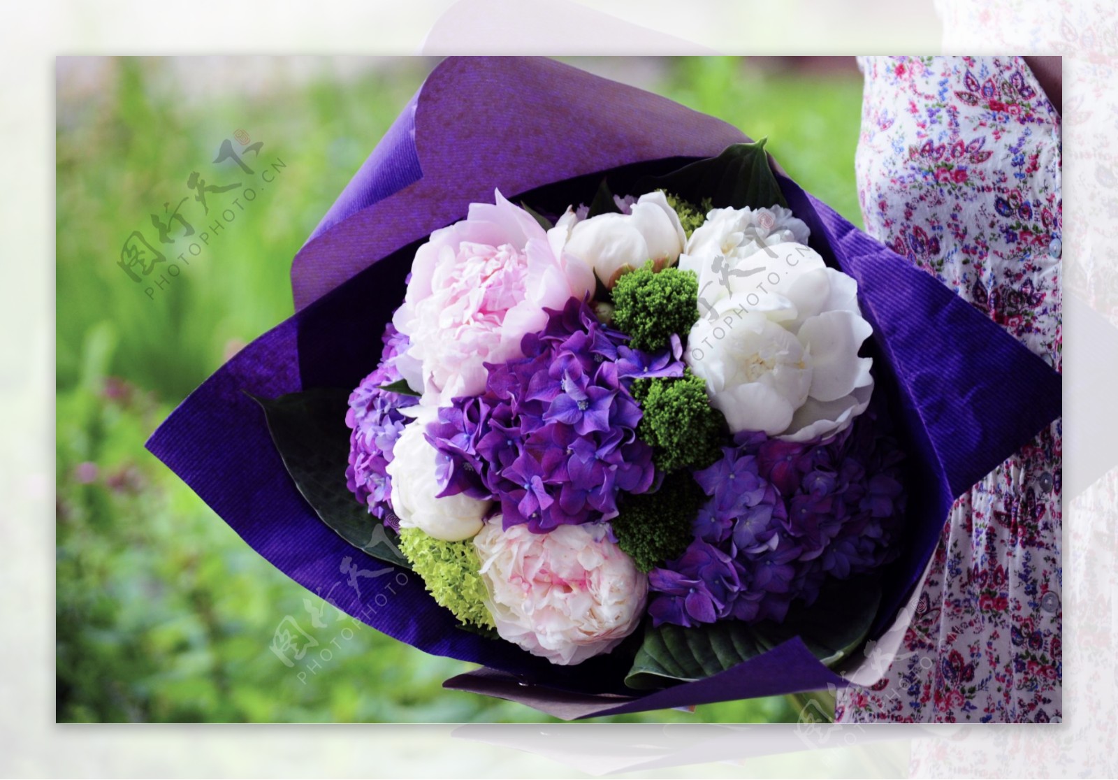 紫色的花束图片素材下载