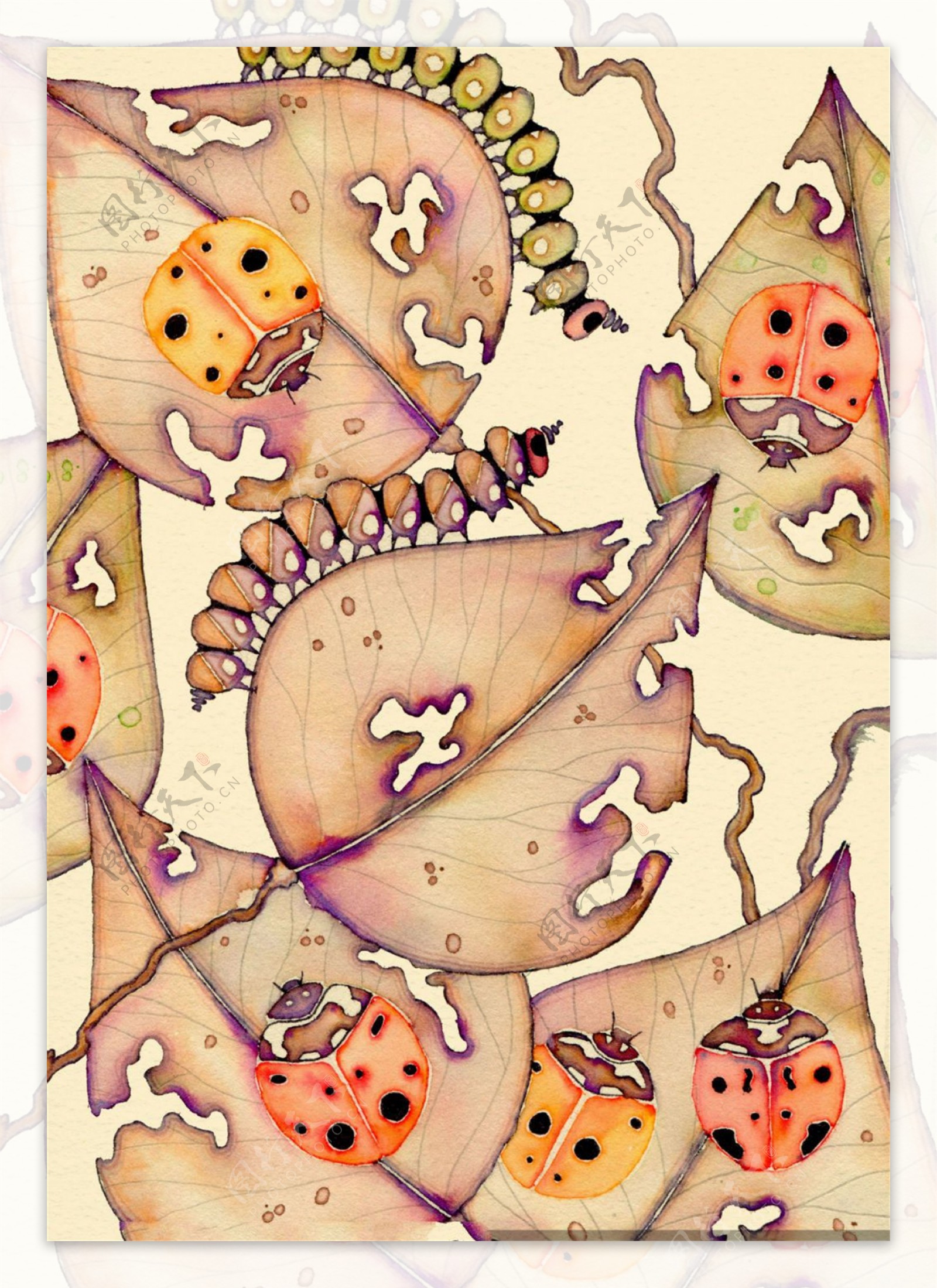 树叶上的瓢虫和毛毛虫水彩插画