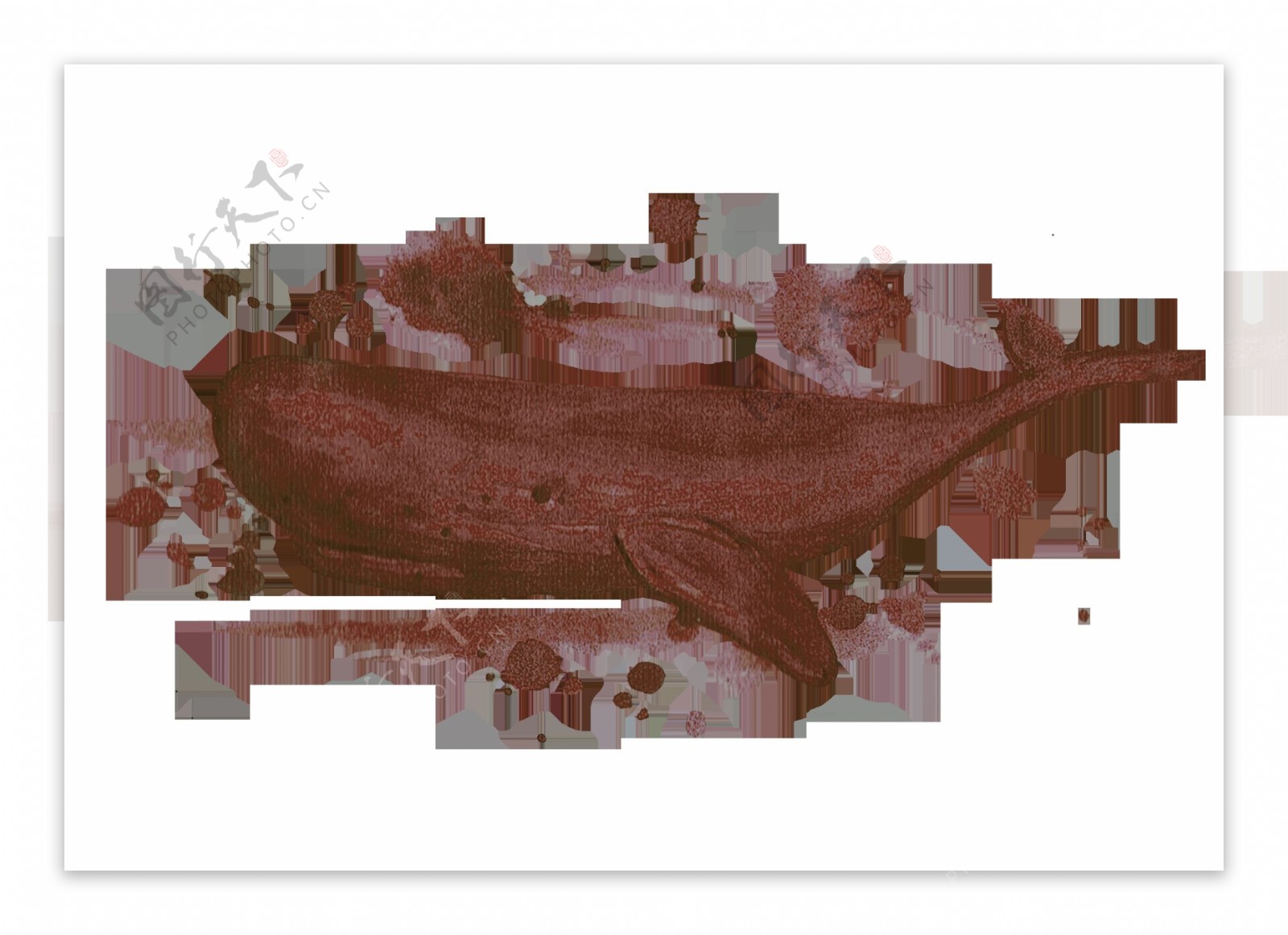 手绘水墨咖啡色鲸鱼动物装饰图案素材