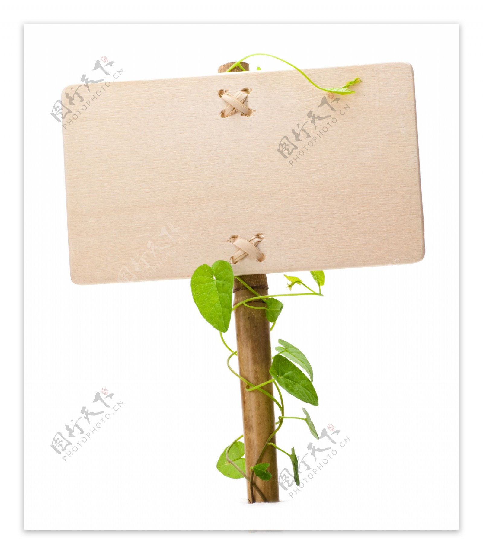 植物藤蔓与木板牌子图片