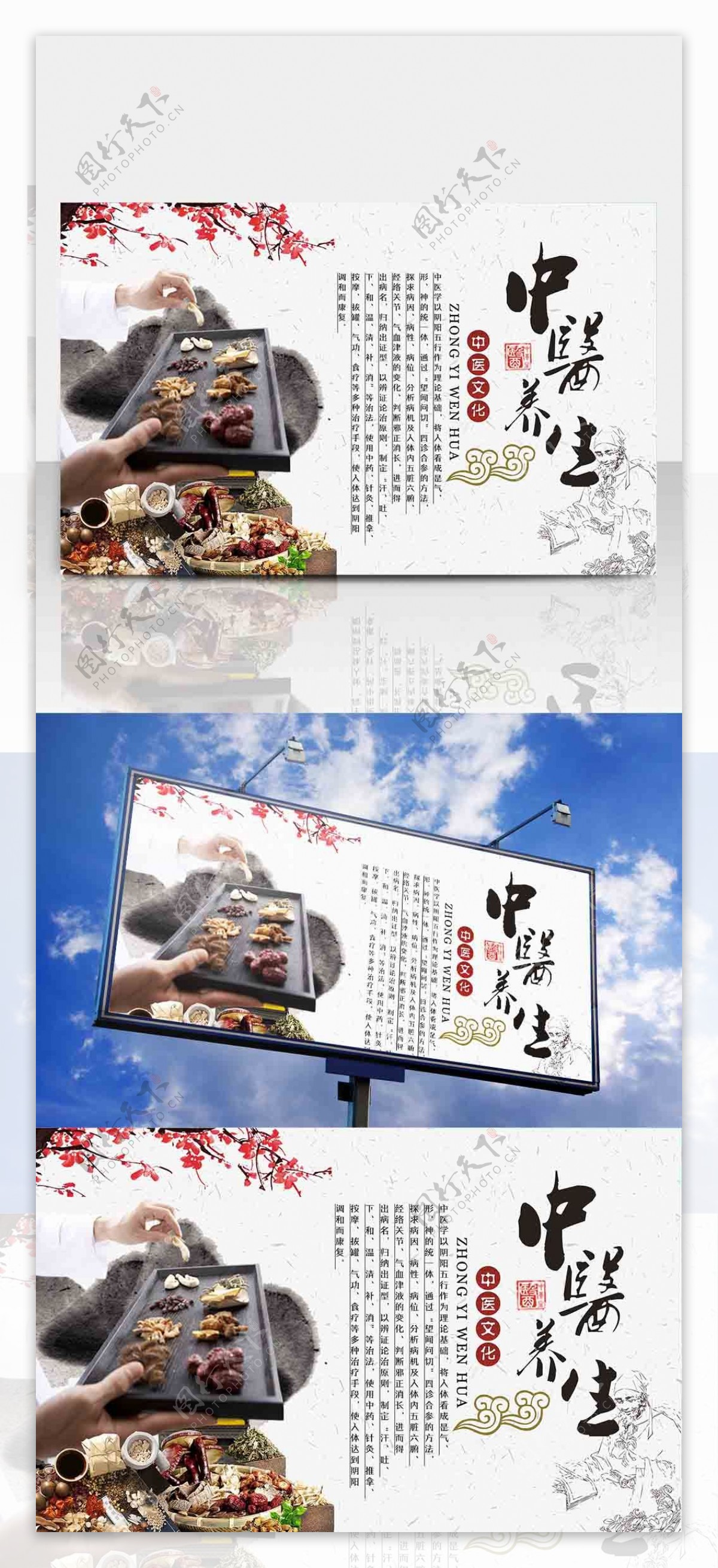 中华传统中医养生文化宣传海报