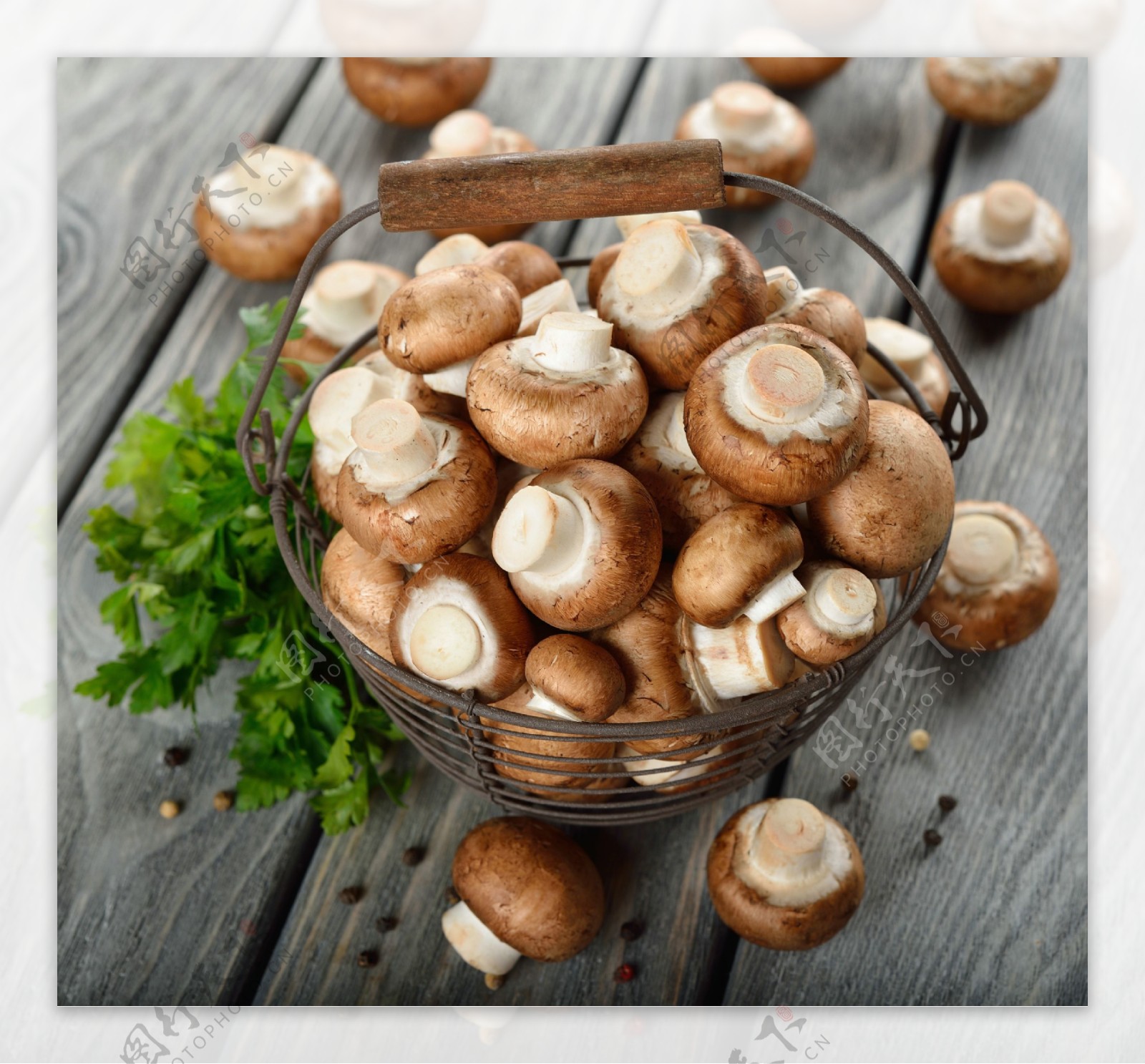 铁篮子里的蘑菇图片