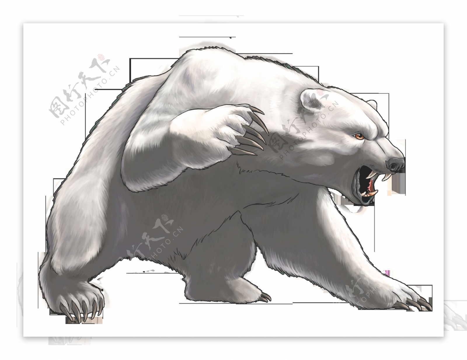 手绘凶狠的北极熊免抠png透明图层素材