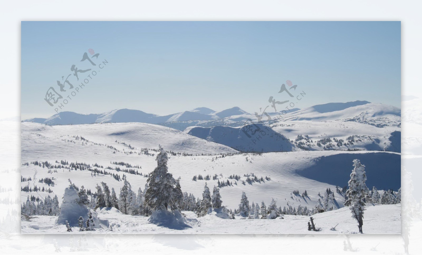 美丽雪原风景图片