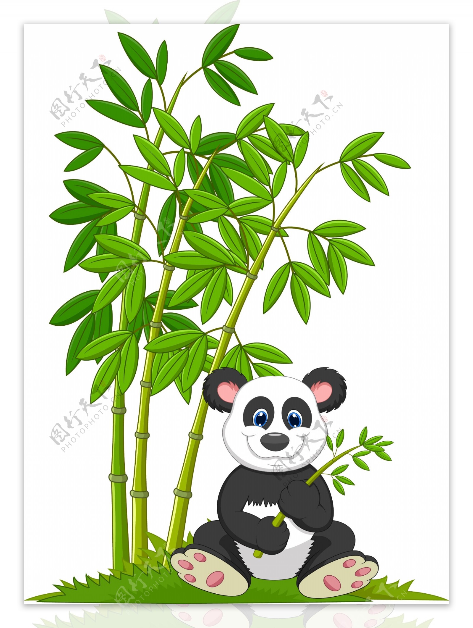 熊猫和竹子插画