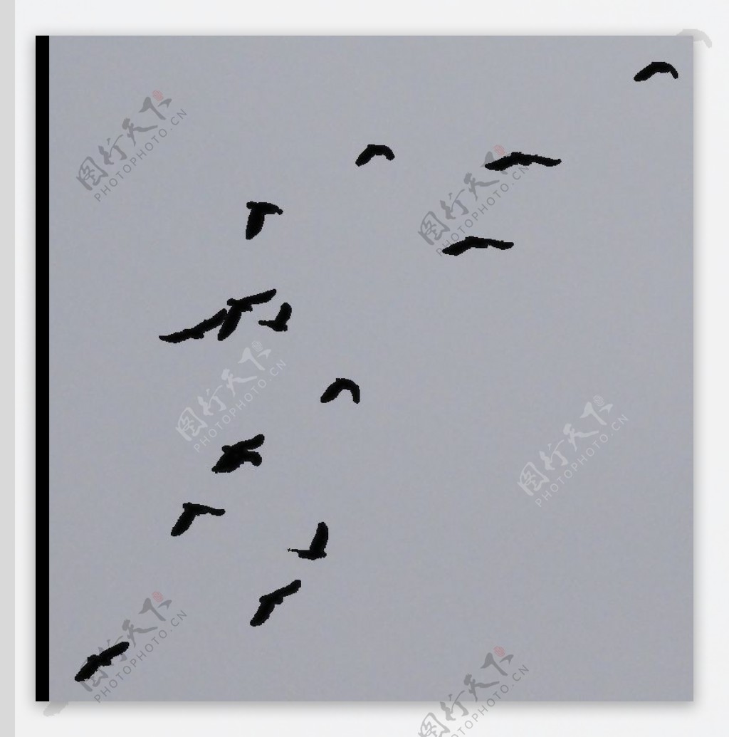 天空飞翔的一群鸟图片免抠png透明素材