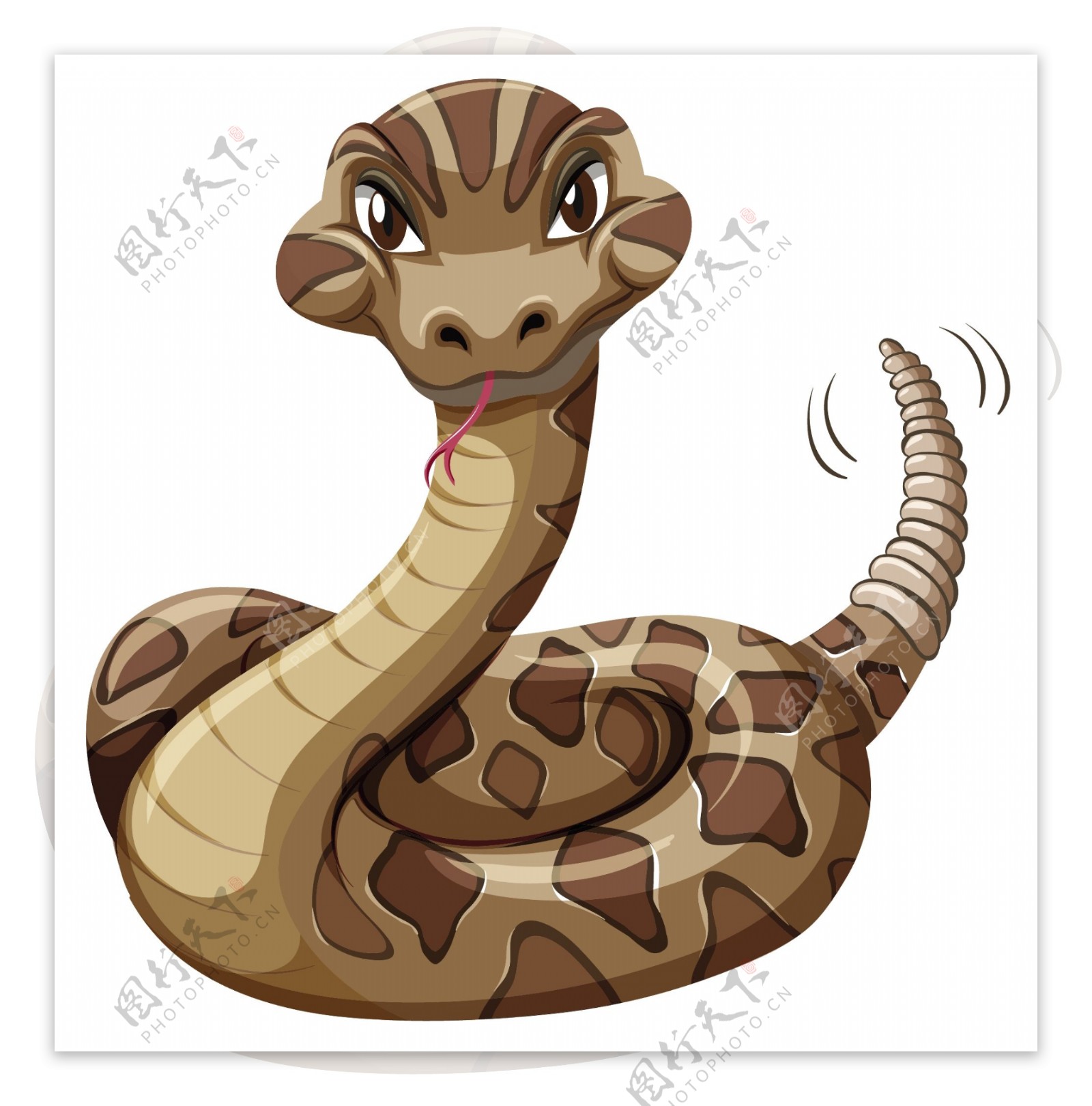 棕色的蟒蛇