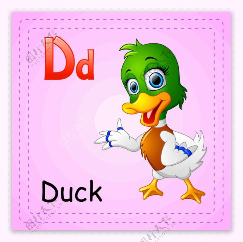 鸭子动物英语单词图片