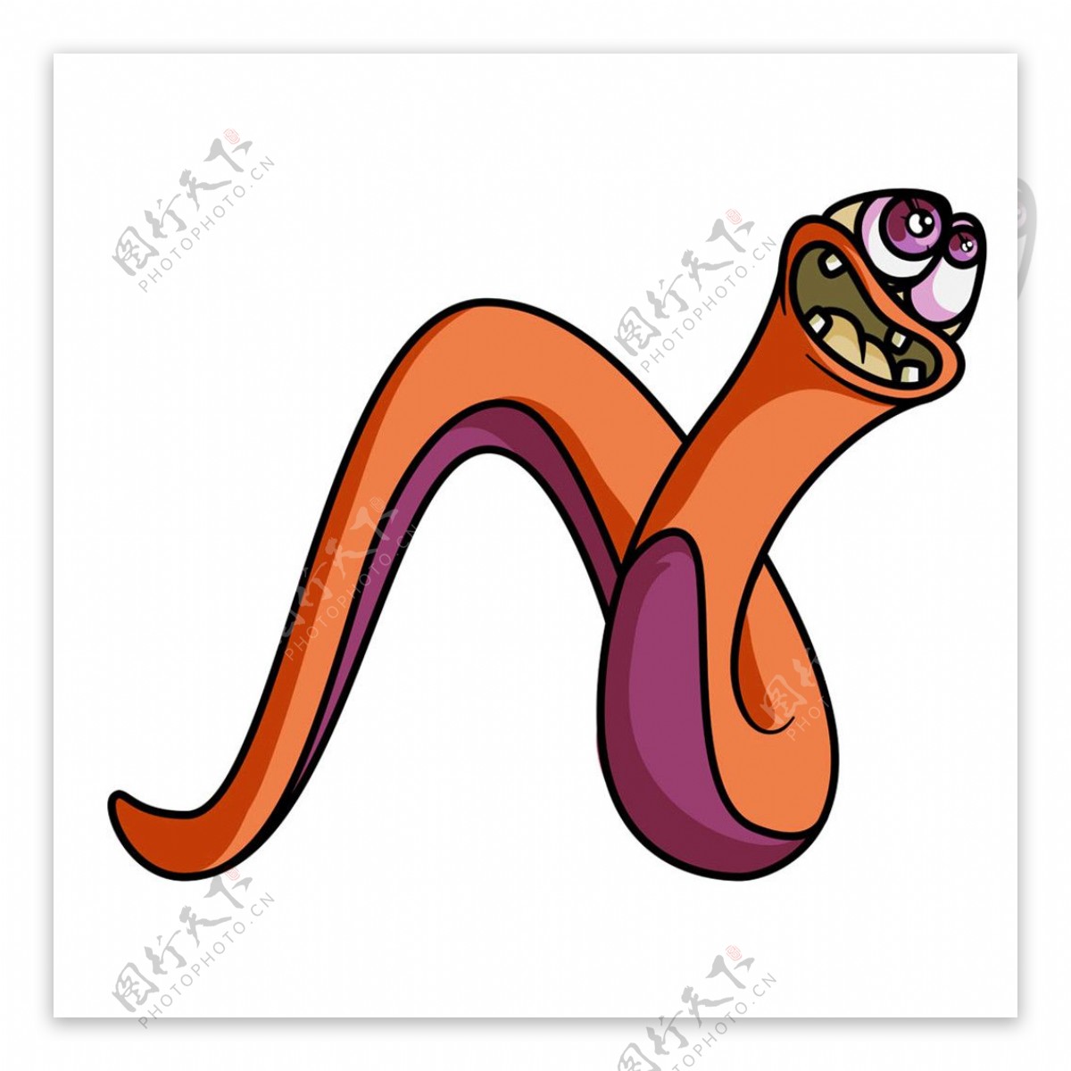 动物蛇字母图片