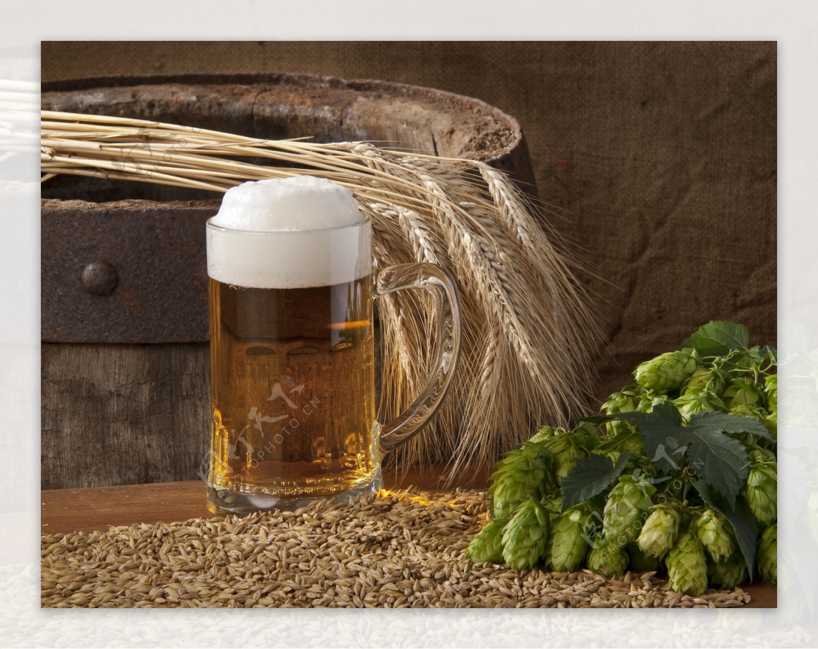 小麦与啤酒素材图片