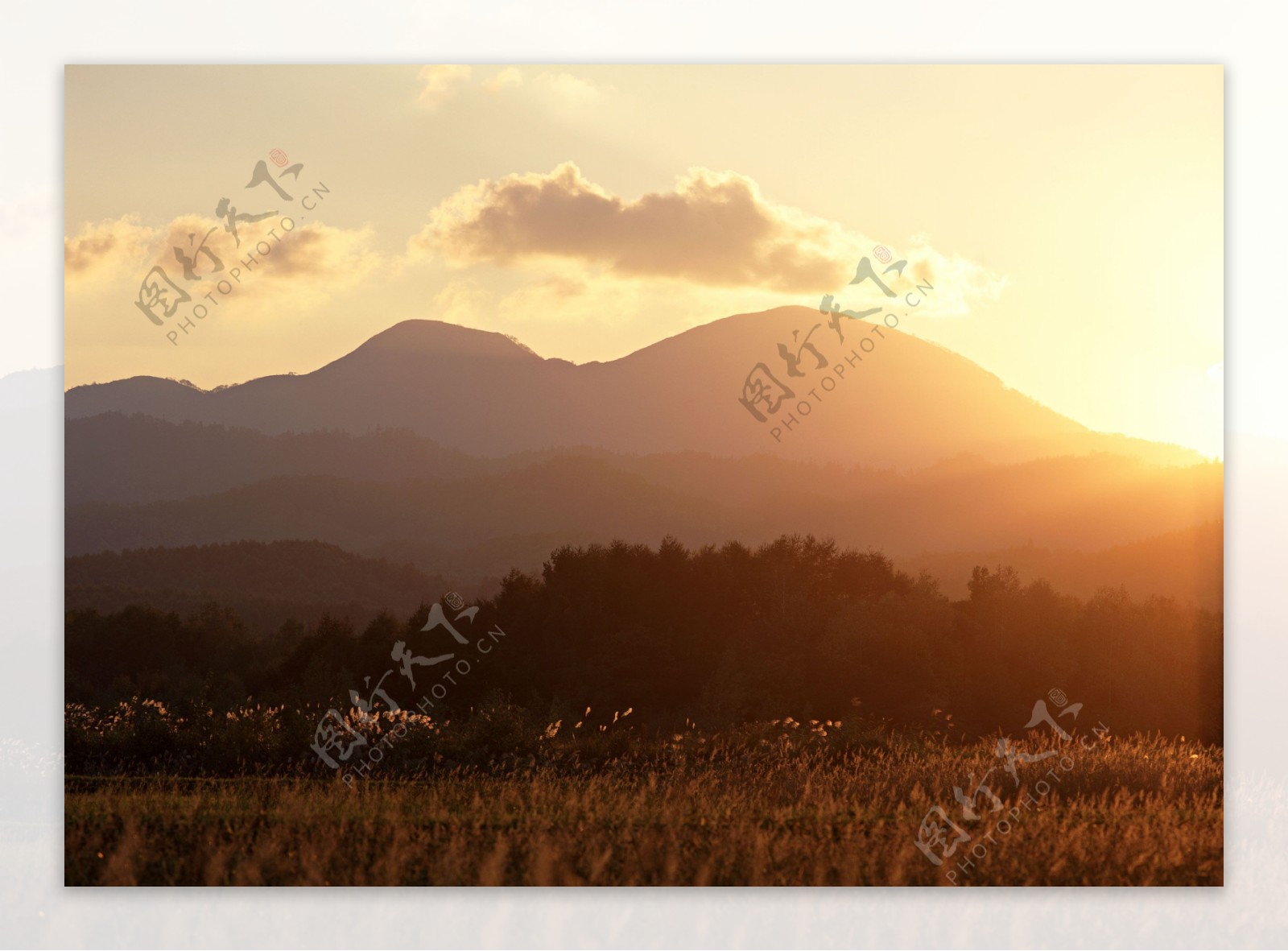 美丽草原黄昏风景图片