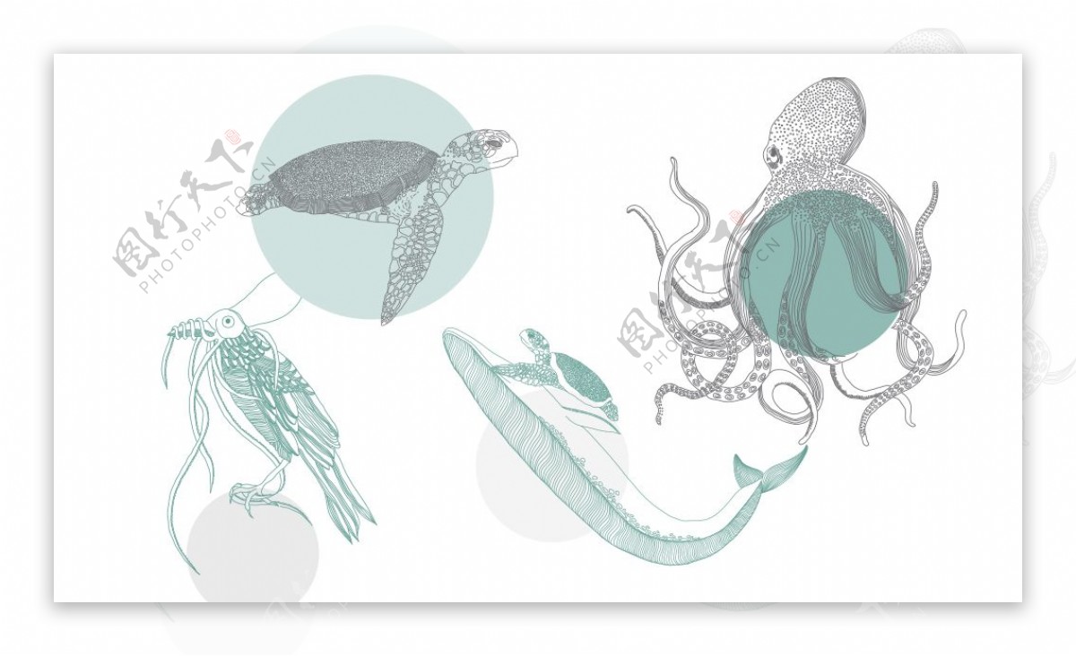 手绘海洋动物插画