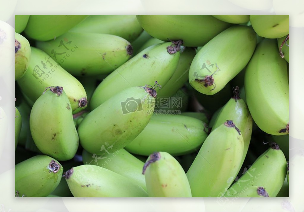 未成熟的香蕉