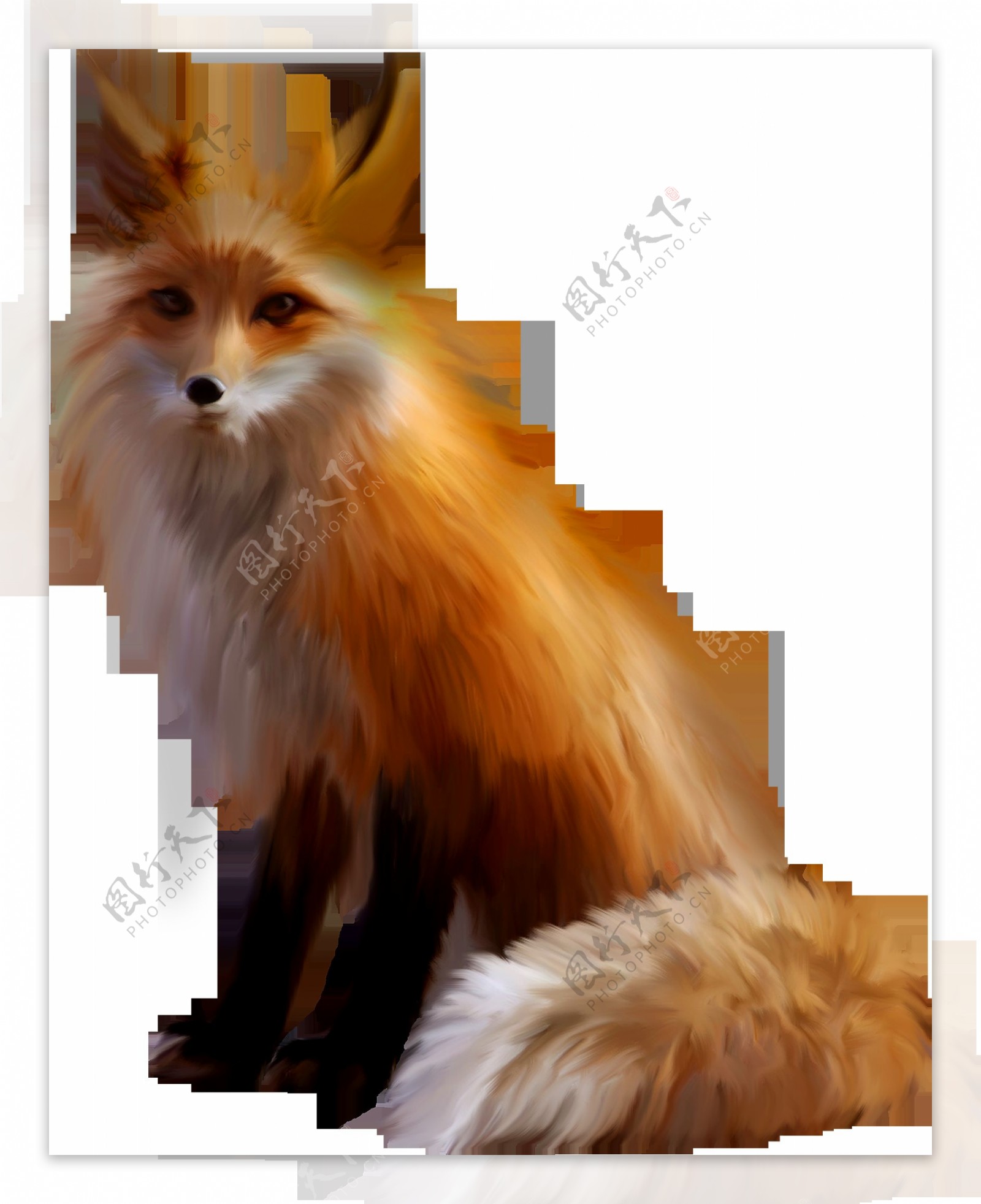 坐着的狐狸免抠png透明图层素材