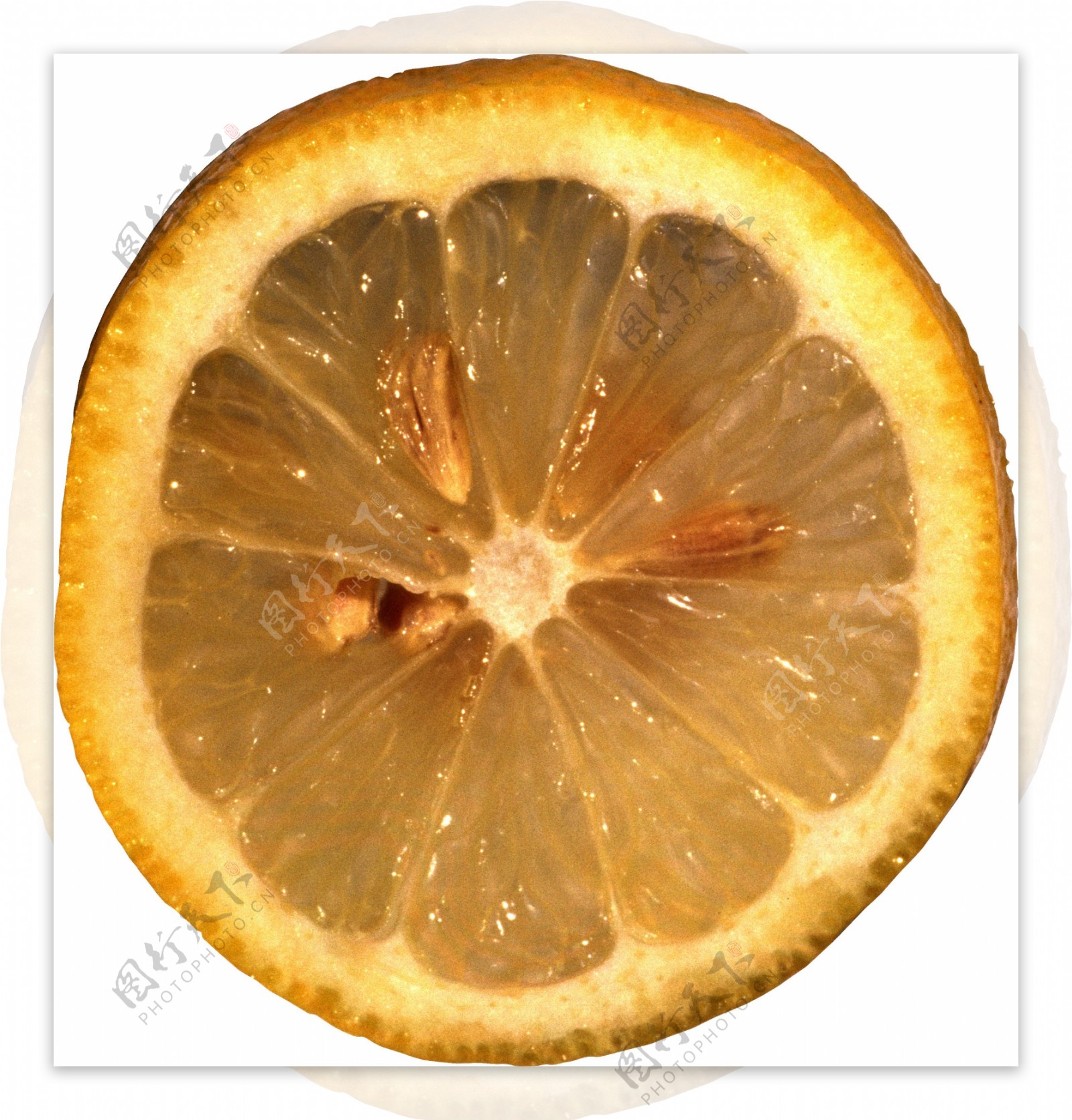 柠檬横切面图片