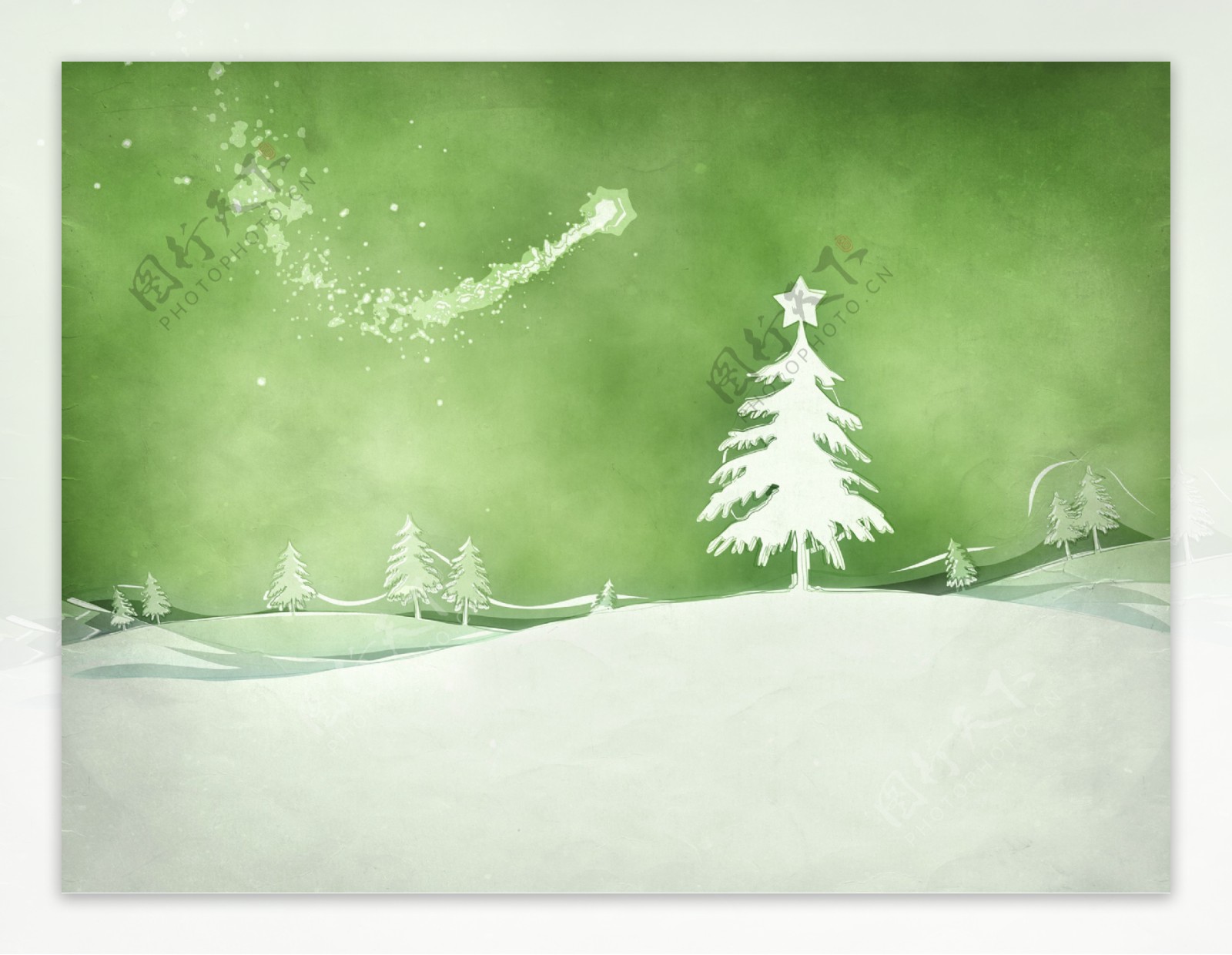 雪地里的圣诞树图片