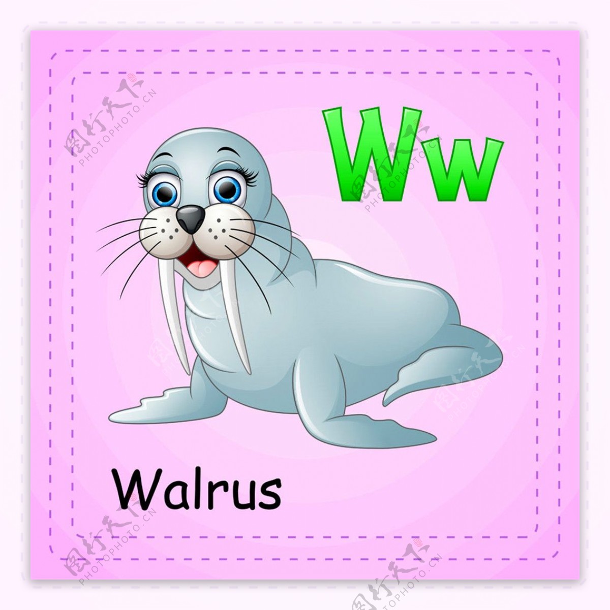 海狮英词单词图片