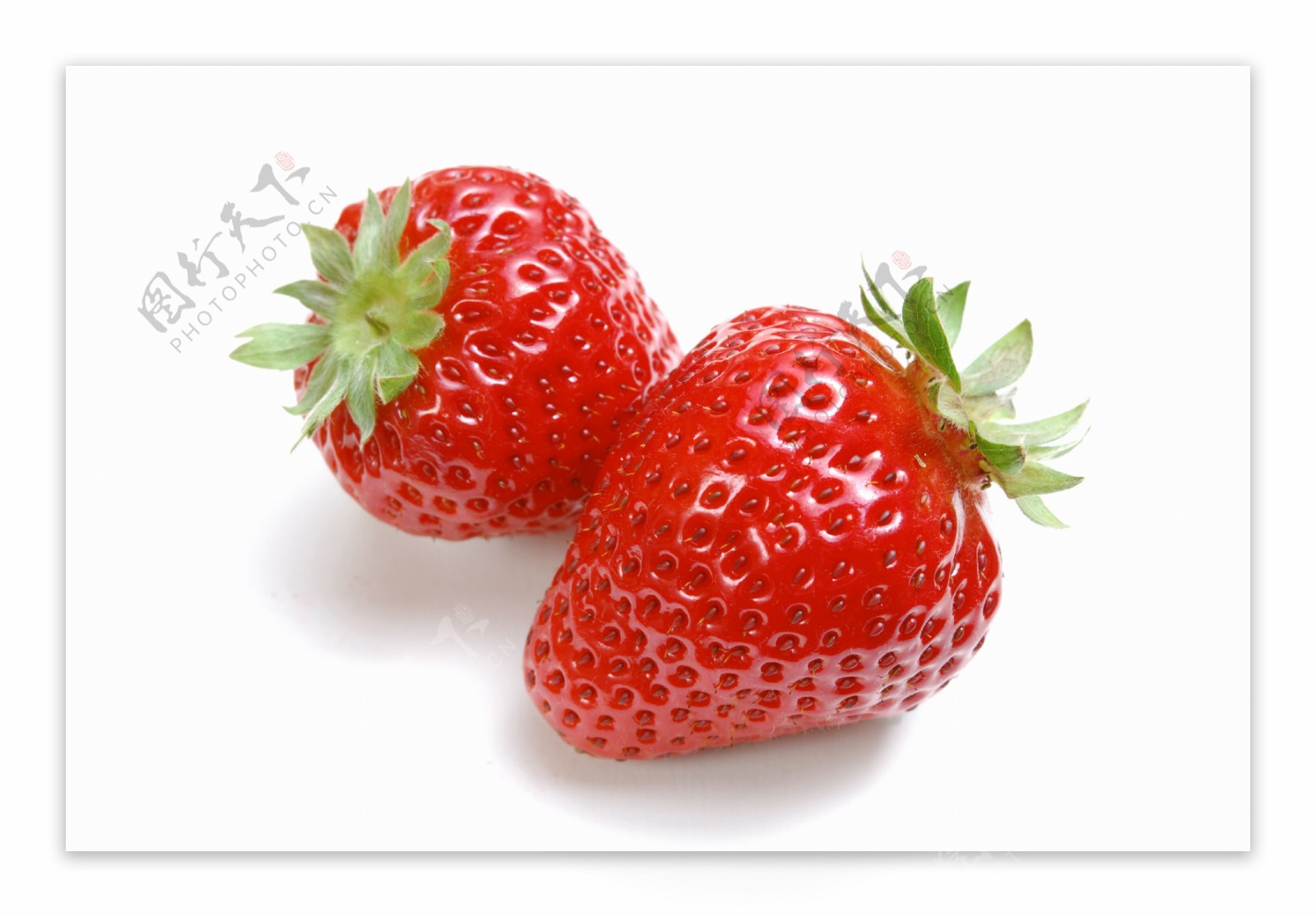 草莓017图片