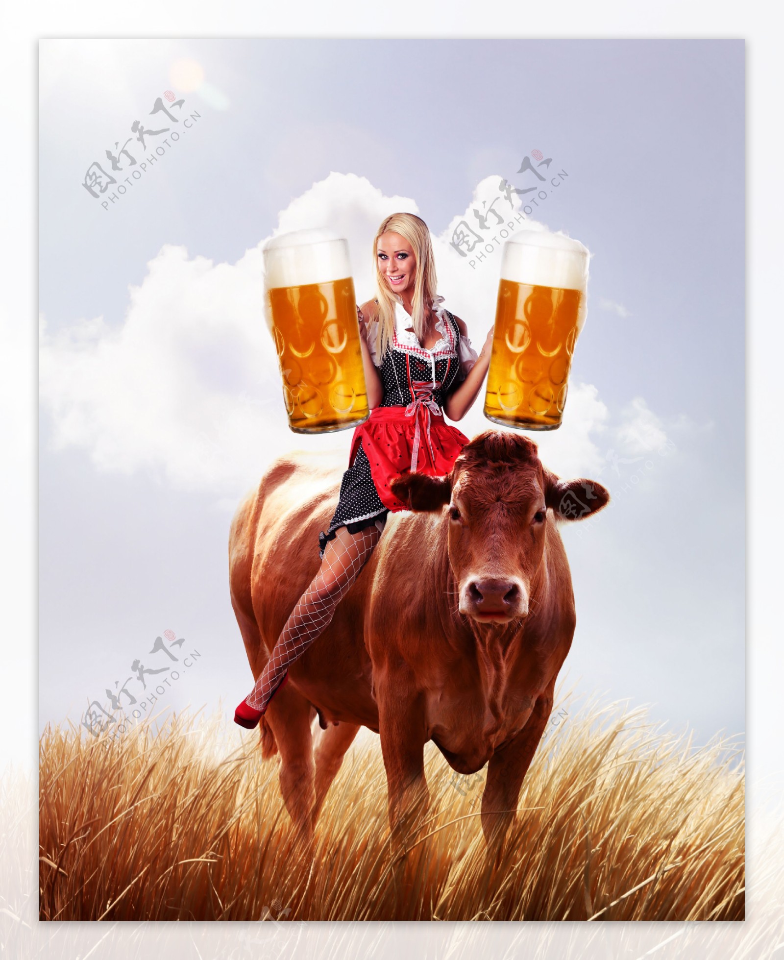牛背上拿着啤酒的美女图片