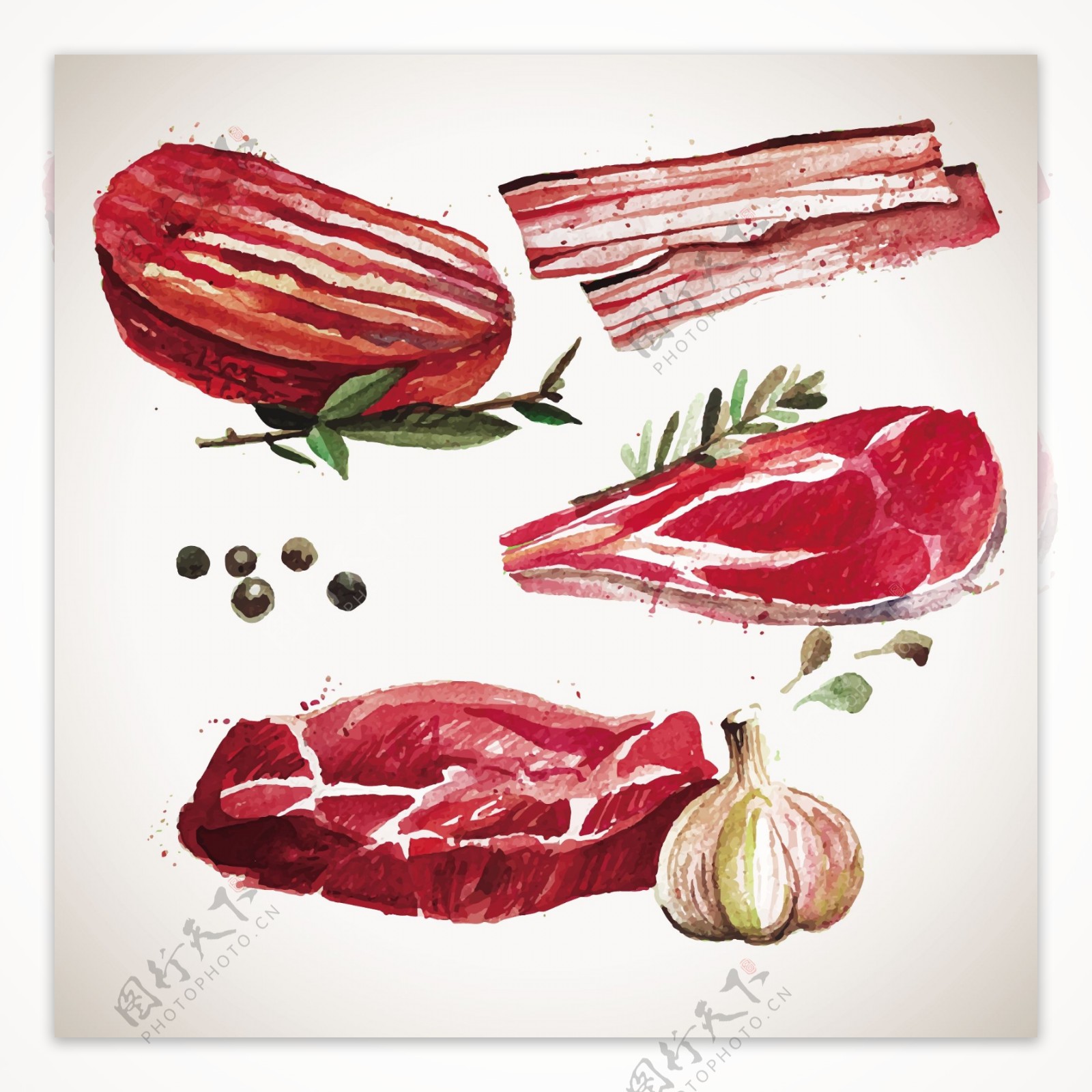 素描手绘肉食物矢量图
