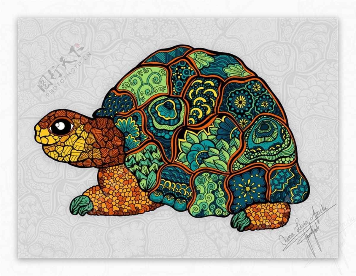 多色彩乌龟插画