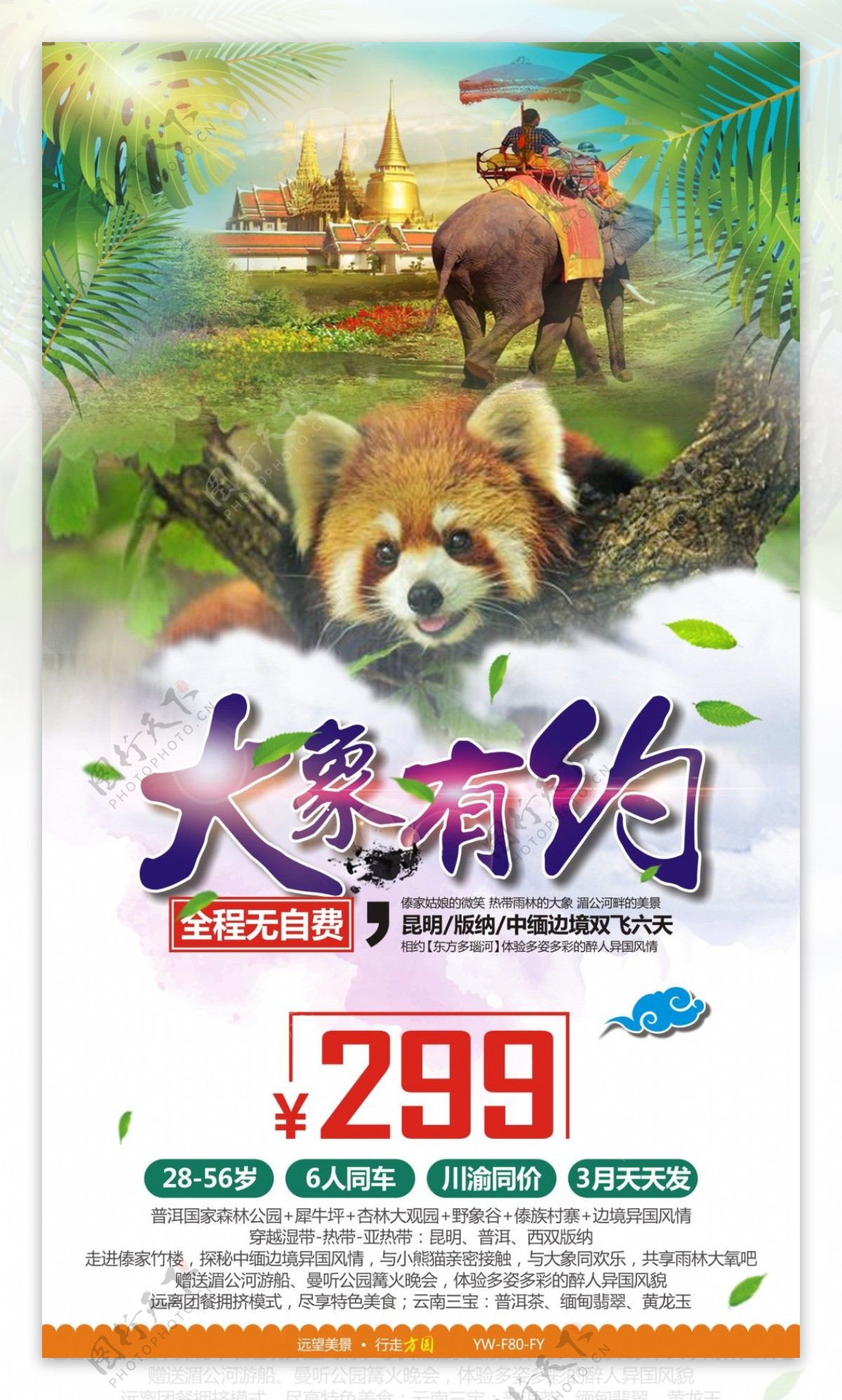 大象有约云南版纳旅游广告宣传图