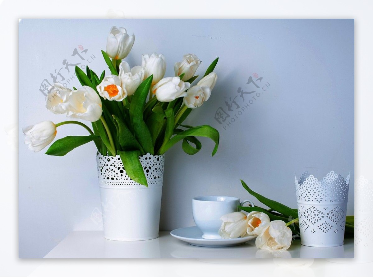白色郁金香创意花瓶装饰画