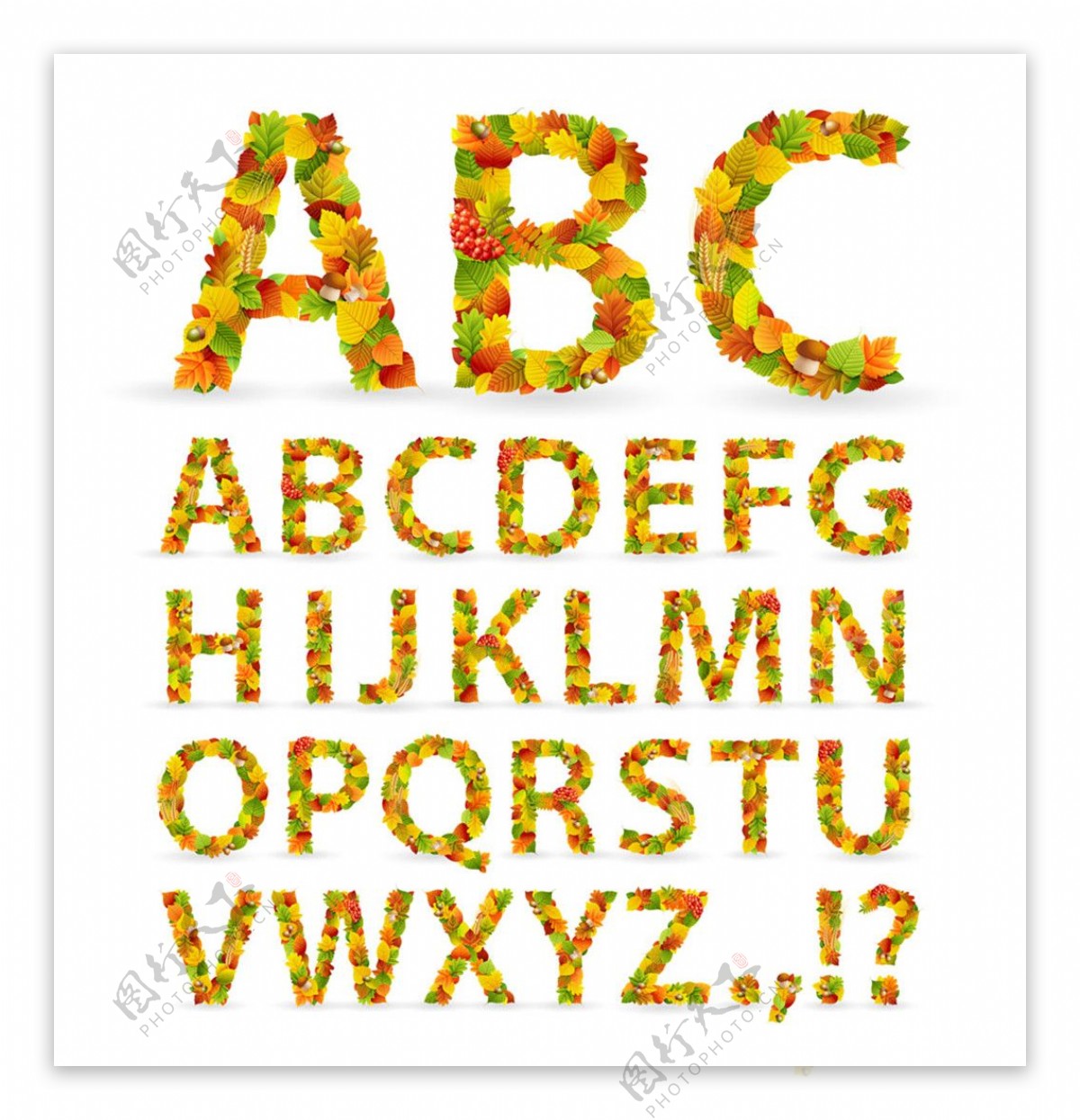彩色树叶字体英文图片