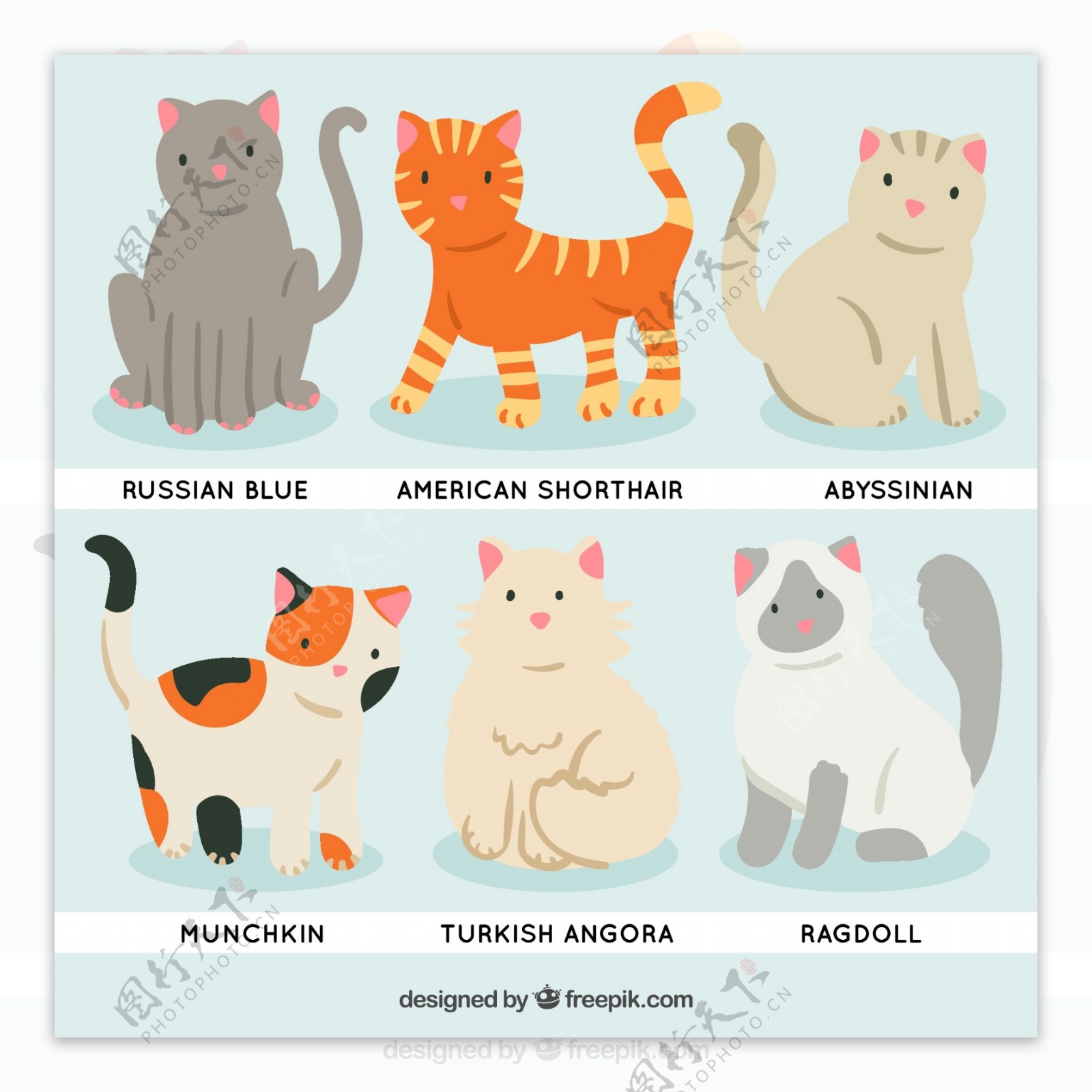 6款可爱宠物猫设计矢量素材