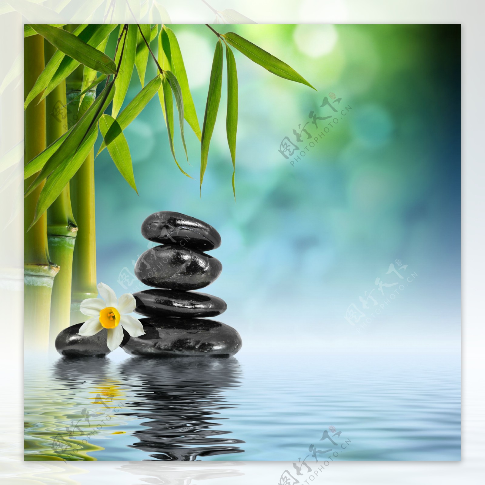 竹子,石头,水,绿色背景图片_4K背景图片高清壁纸_墨鱼部落格