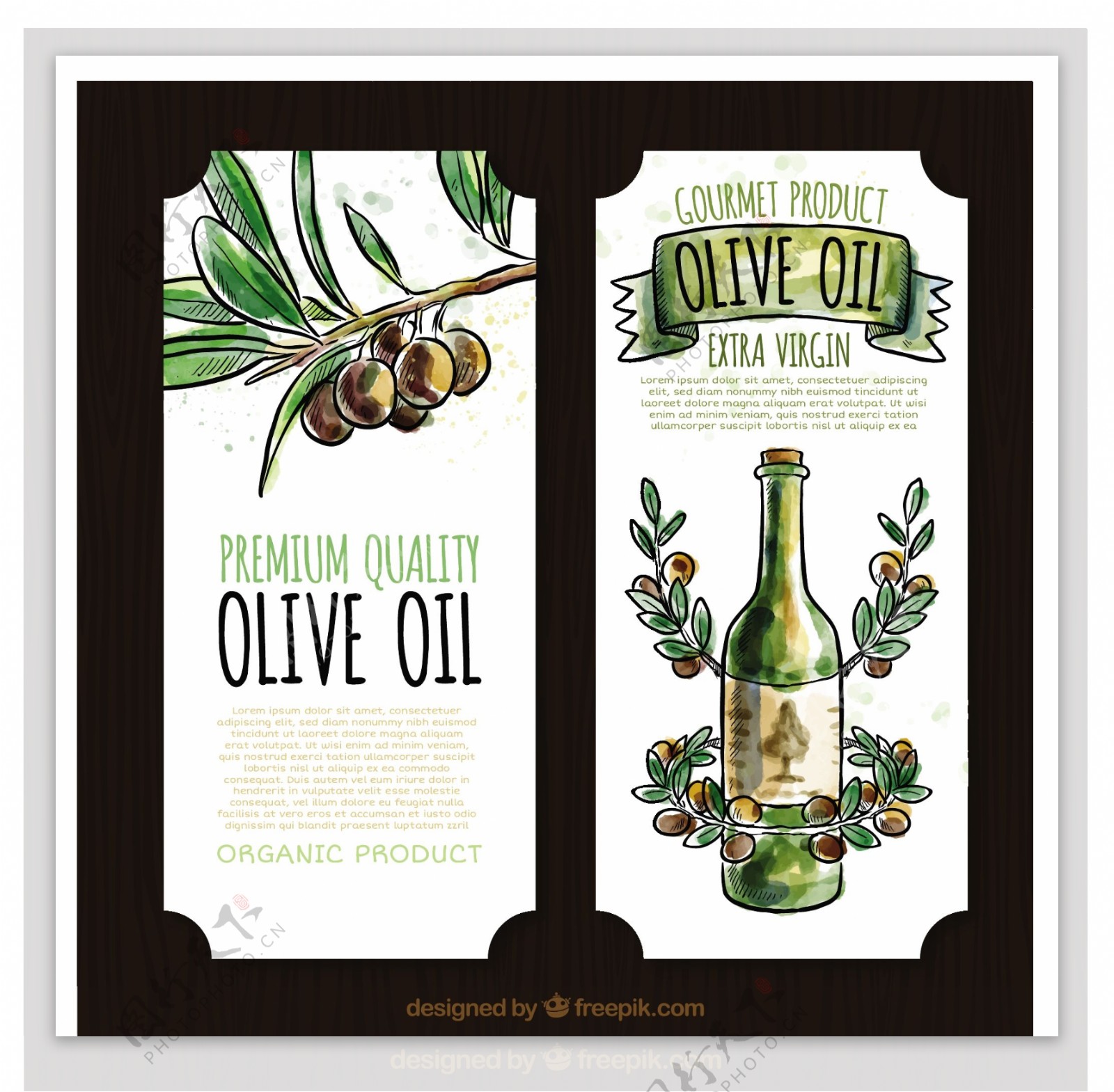 水彩风格的装饰橄榄油标签