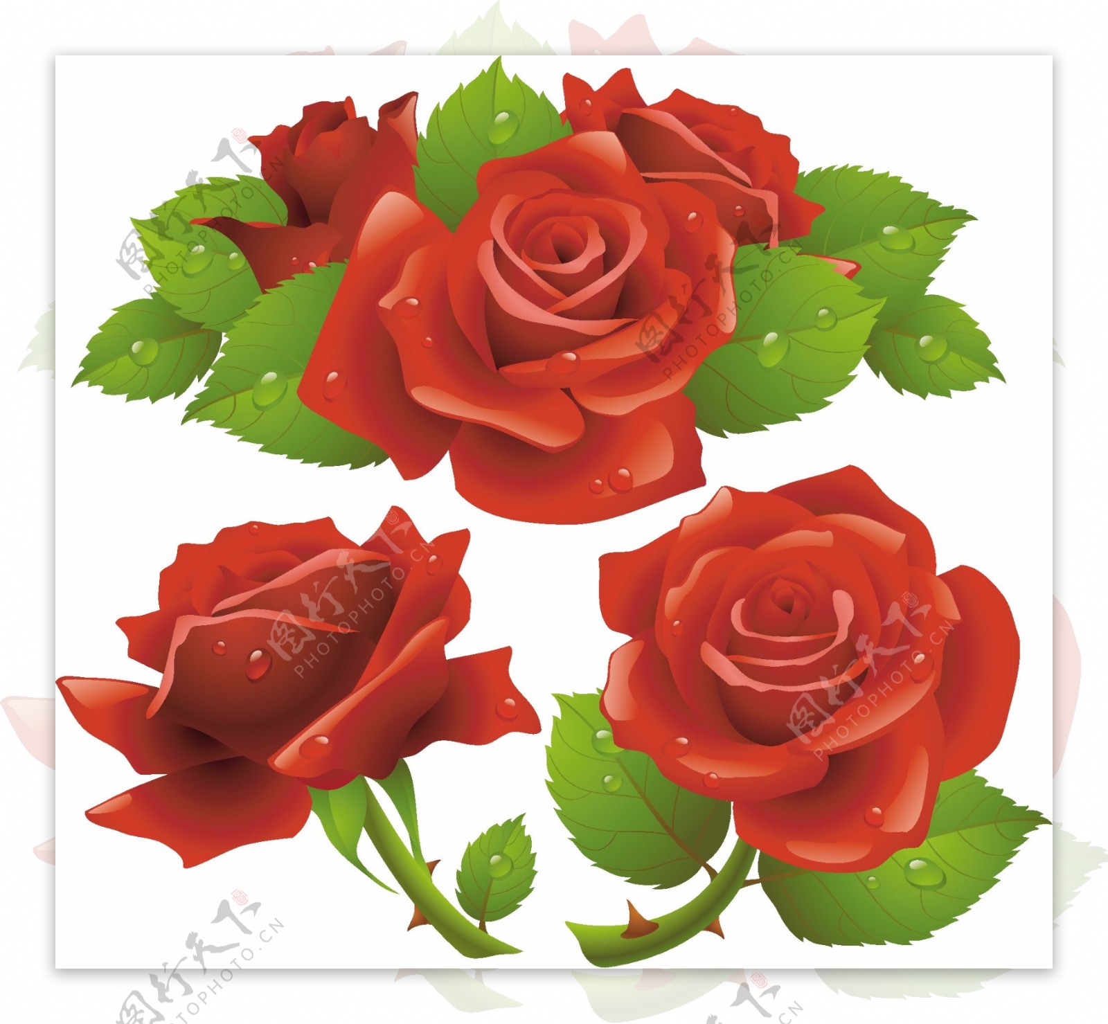 高质量的大红色玫瑰花模板图标矢量